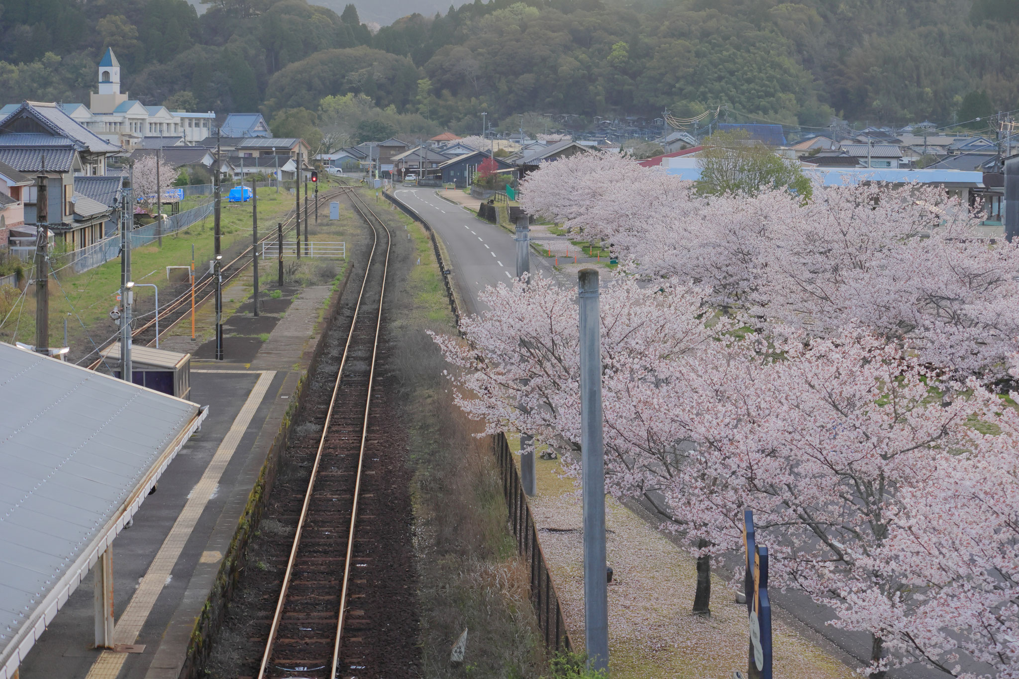 栗野駅の春(4月1日 湧水町)