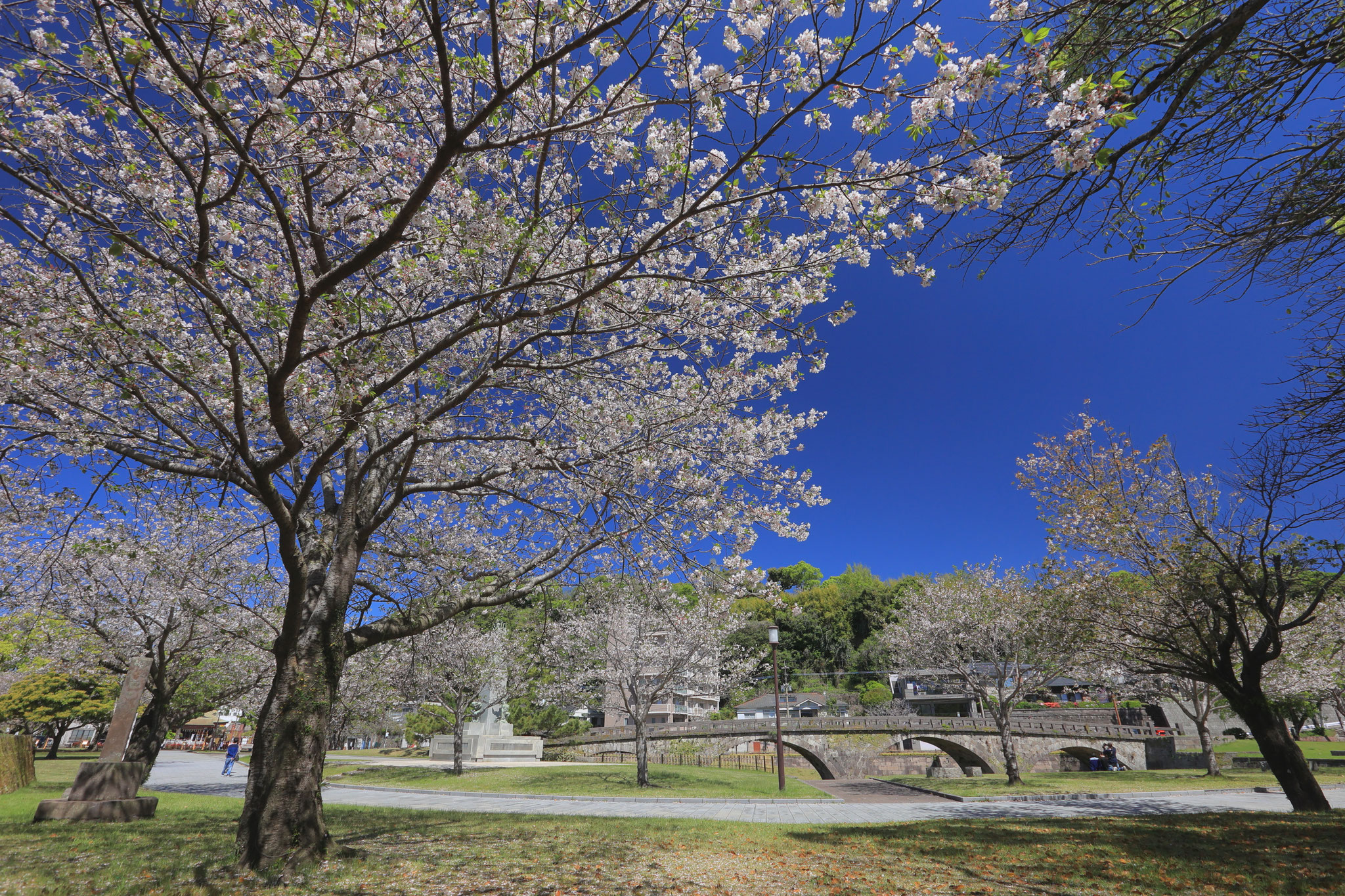 慰霊塔敷地内の春景色(4月8日 鹿児島市)