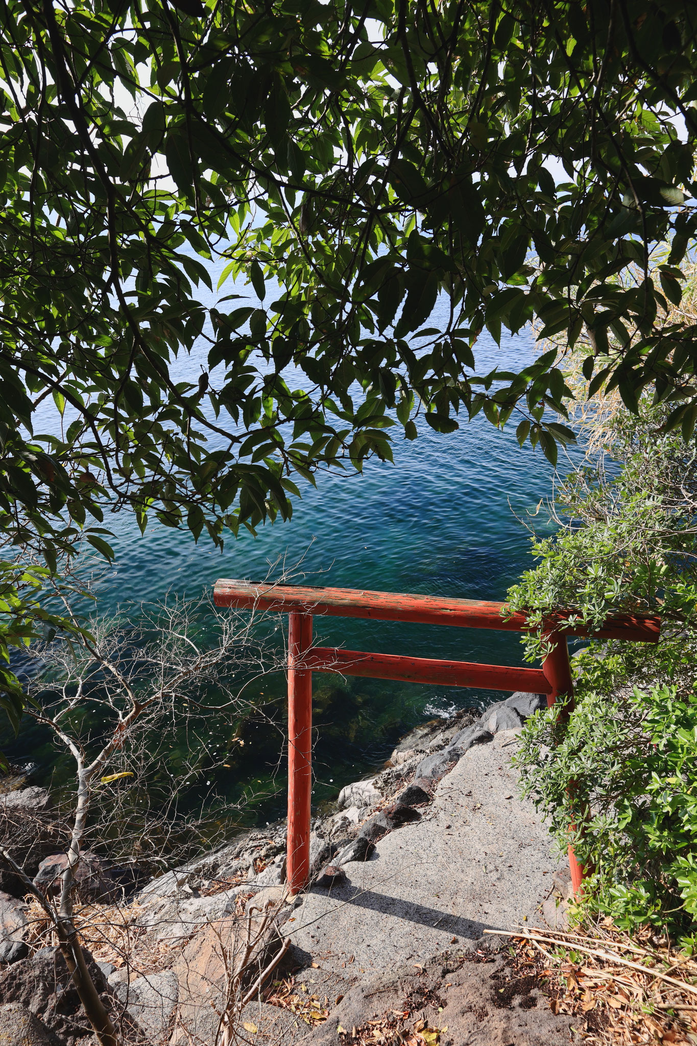 つきあたりには鳥居が鎮座する。(3月7日 霧島市)