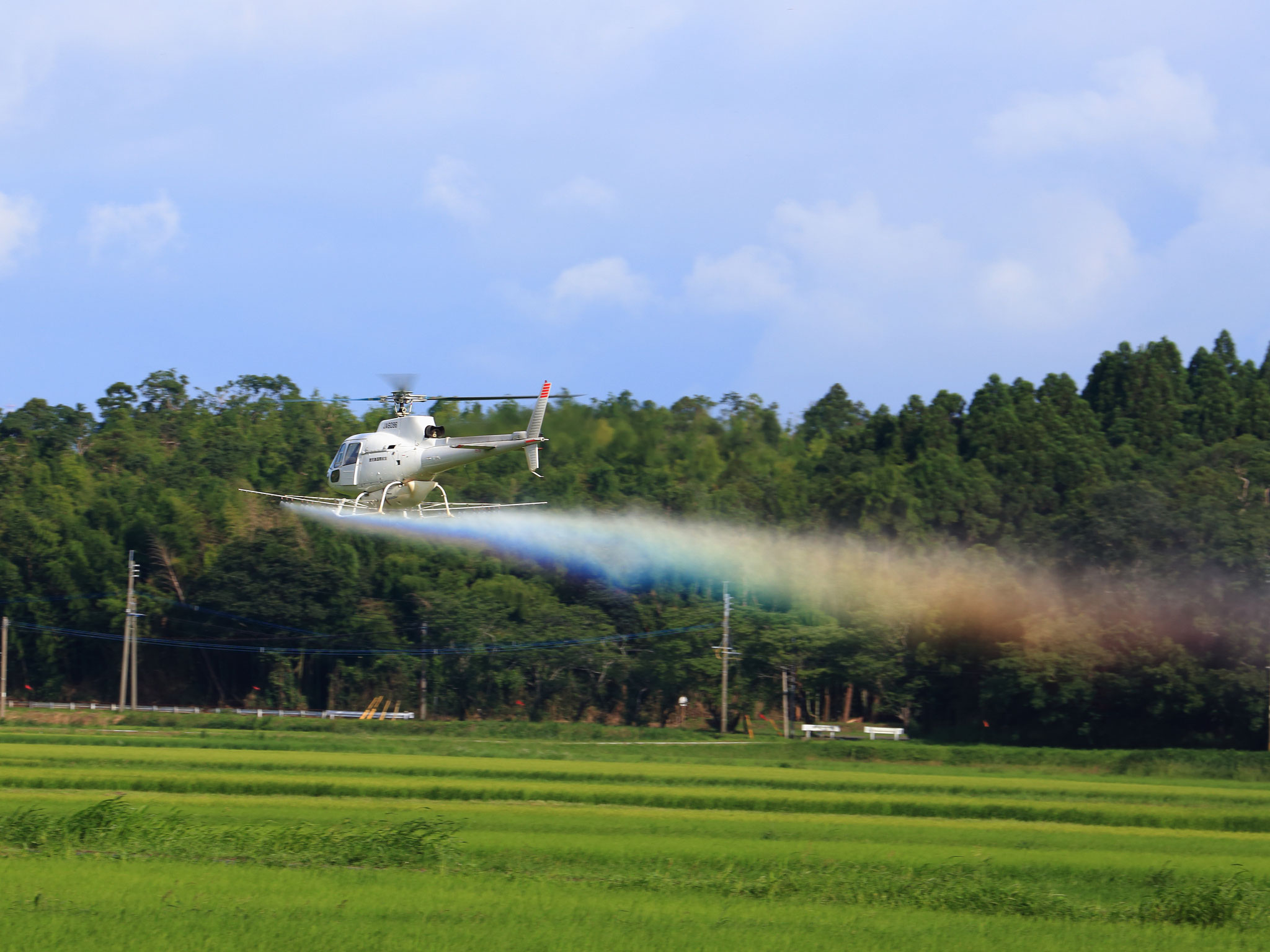 虹をふり撒く航空防除のヘリコプター（7/5 肝付町の田んぼ）