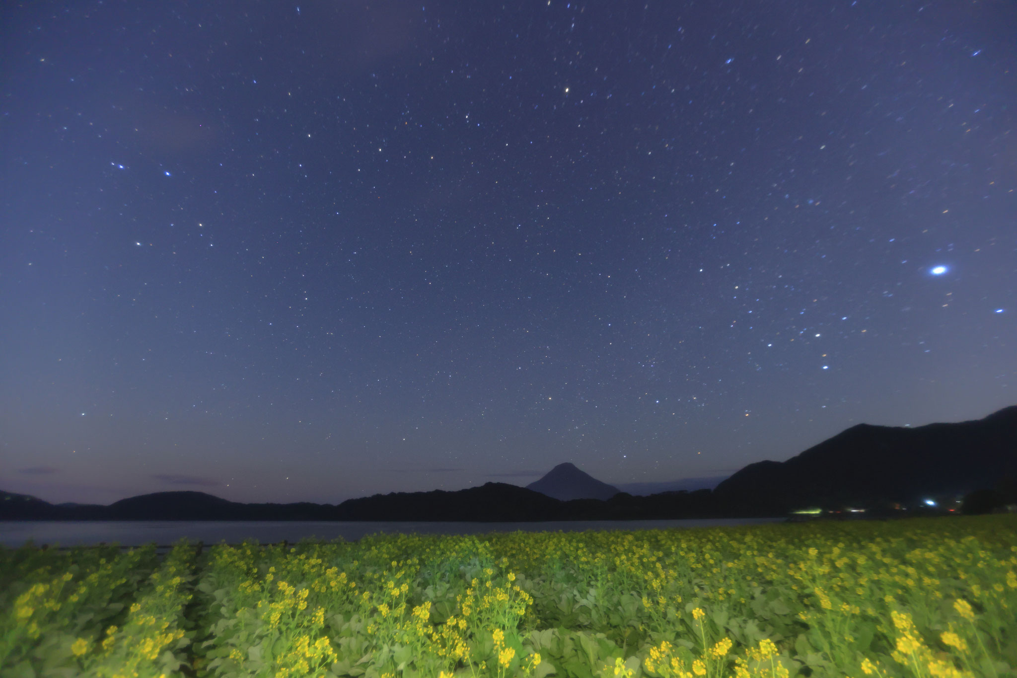 池田湖の菜の花と星空を眺める(1月3日 指宿市)