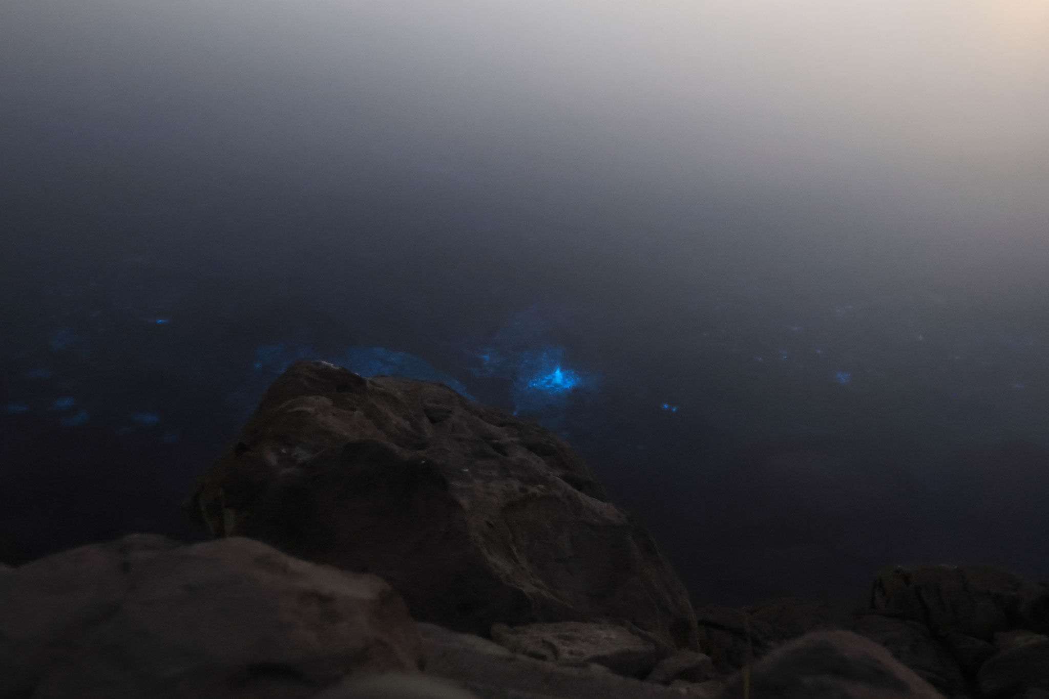夜光虫がいる海へ小石投下すると、しぶきが青く発光する(3月13日 垂水市)