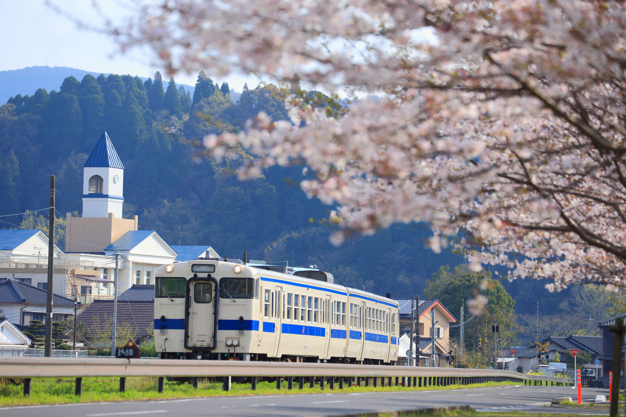 桜と電車（キハ47-9042)のコラボ（4/15 湧水町）
