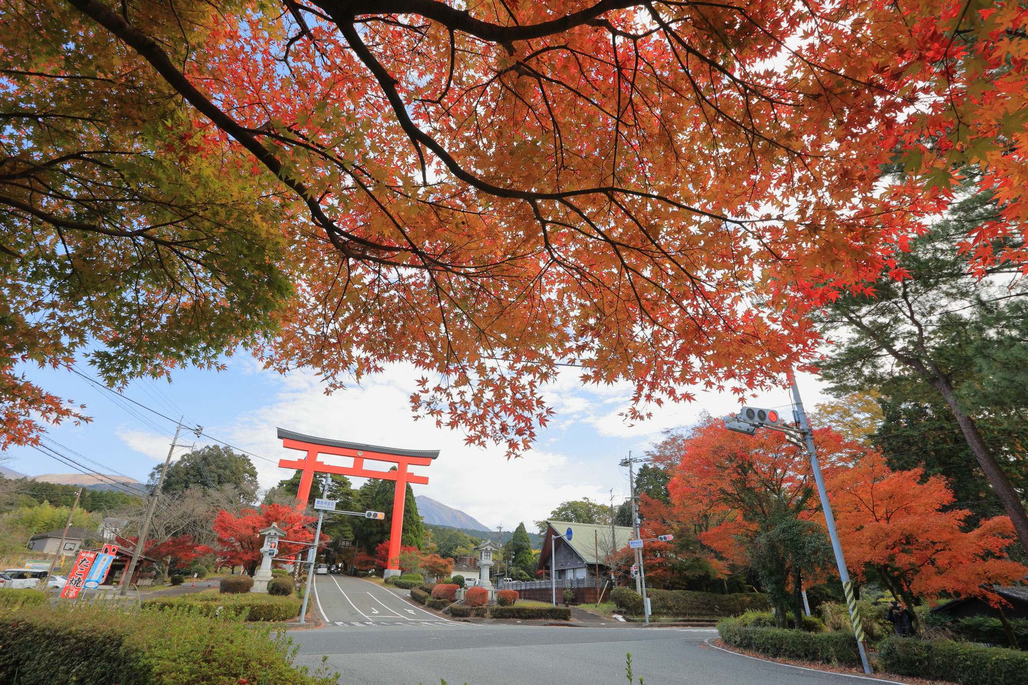 鳥居にもみじがよく似合う(12月7日 霧島市)