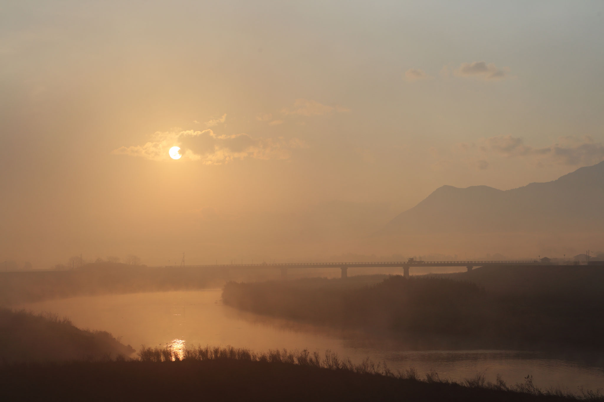 朝の霧が風景を幻想的にする。（3/15 池之園橋堤防 6時52分）