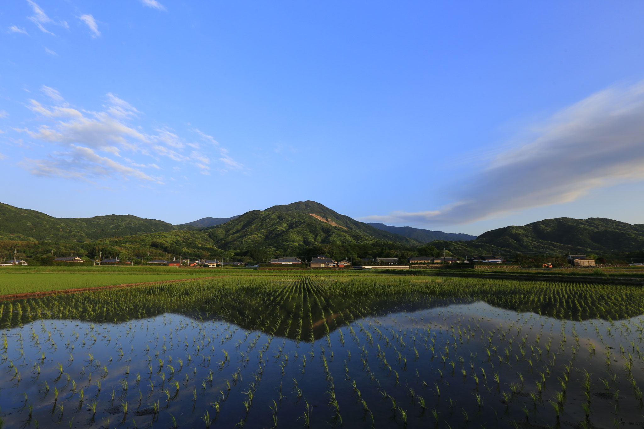 水田がつくる鏡面世界（肝付町）
