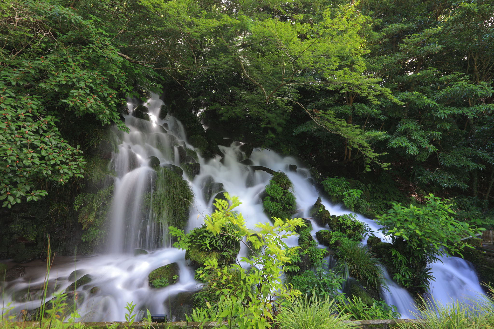 夏の暑さも忘れる、みたらしの滝(8月13日 霧島市)