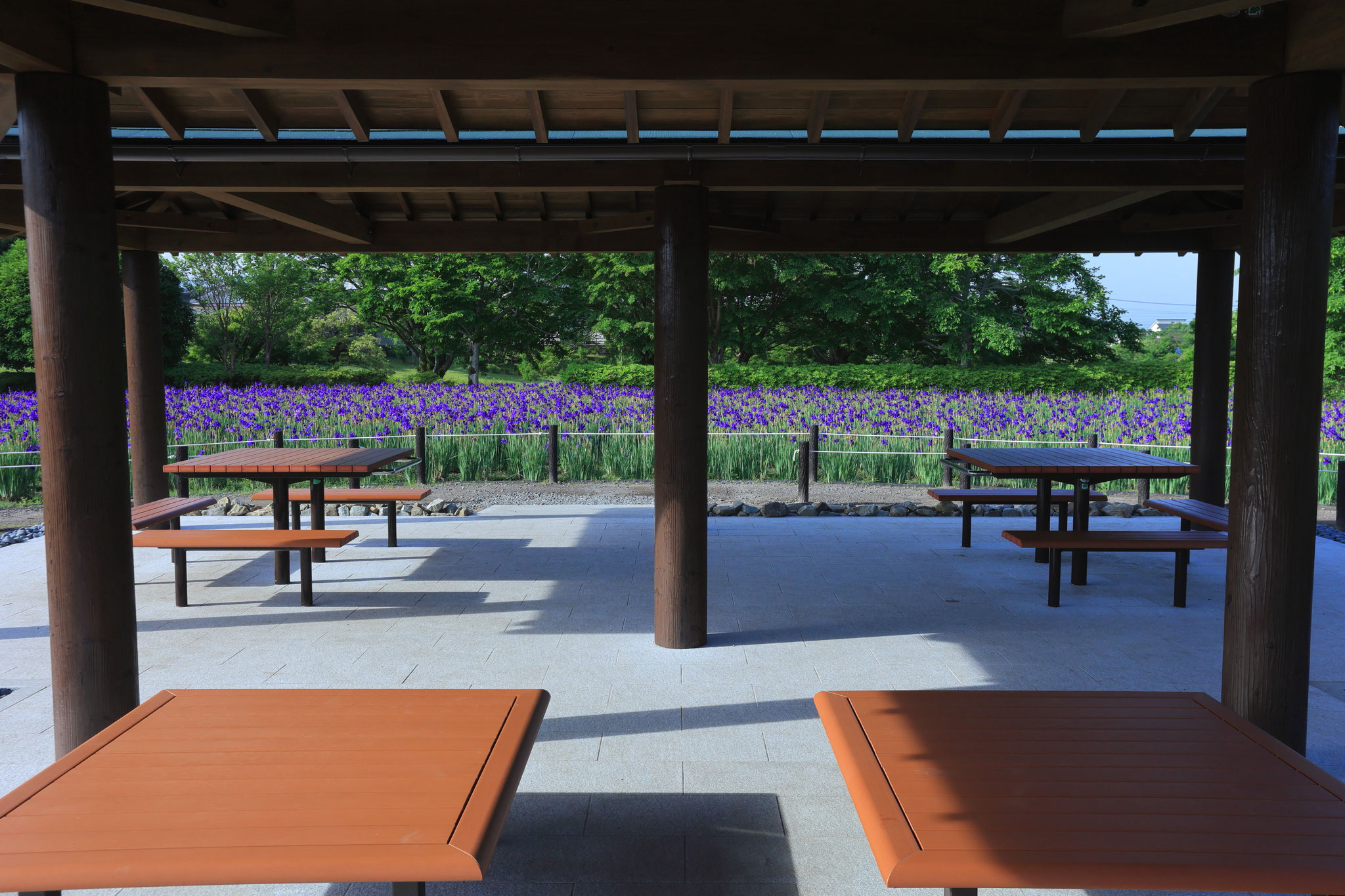新たに出来た、花を見ながらくつろげる場所(5月5日 都城市)