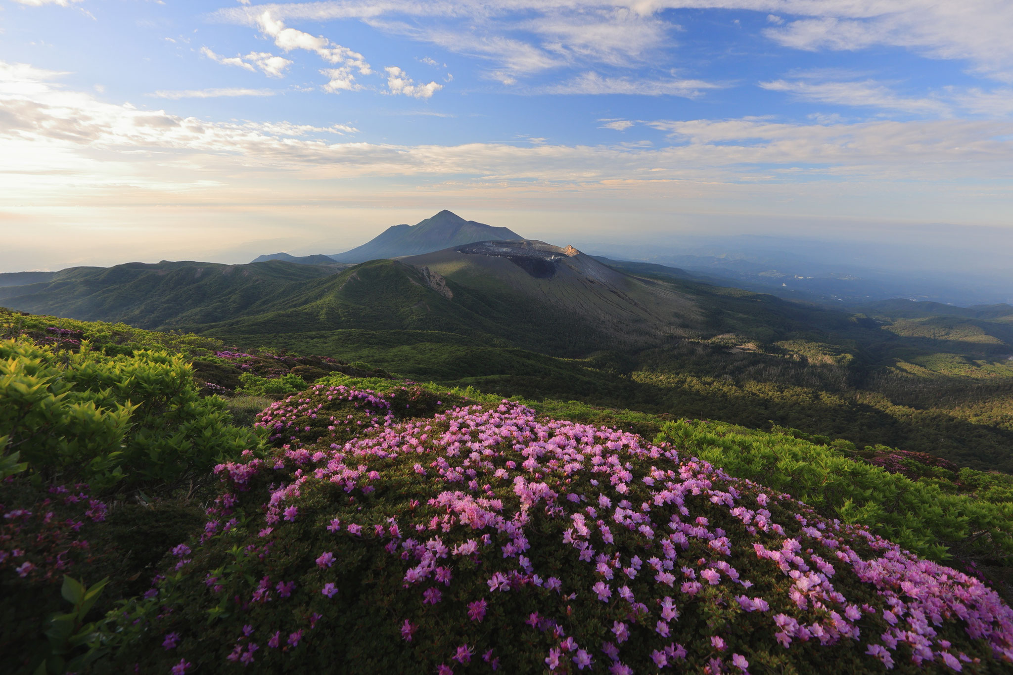 韓国岳よりミヤマキリシマと高千穂峰、新燃岳を望む(6月7日 韓国岳)