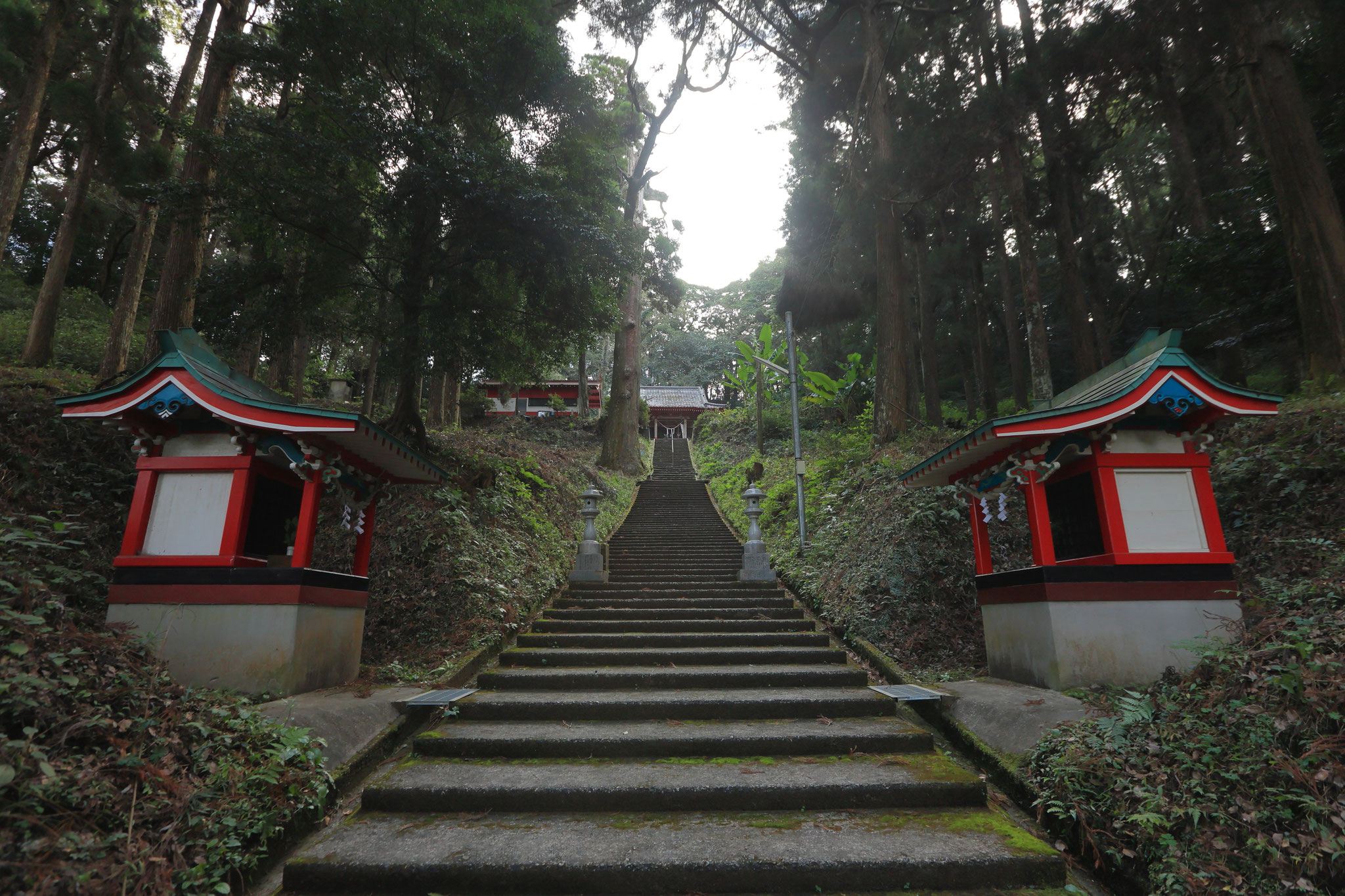 長い階段が画になる住吉神社(11月19日 末吉町)