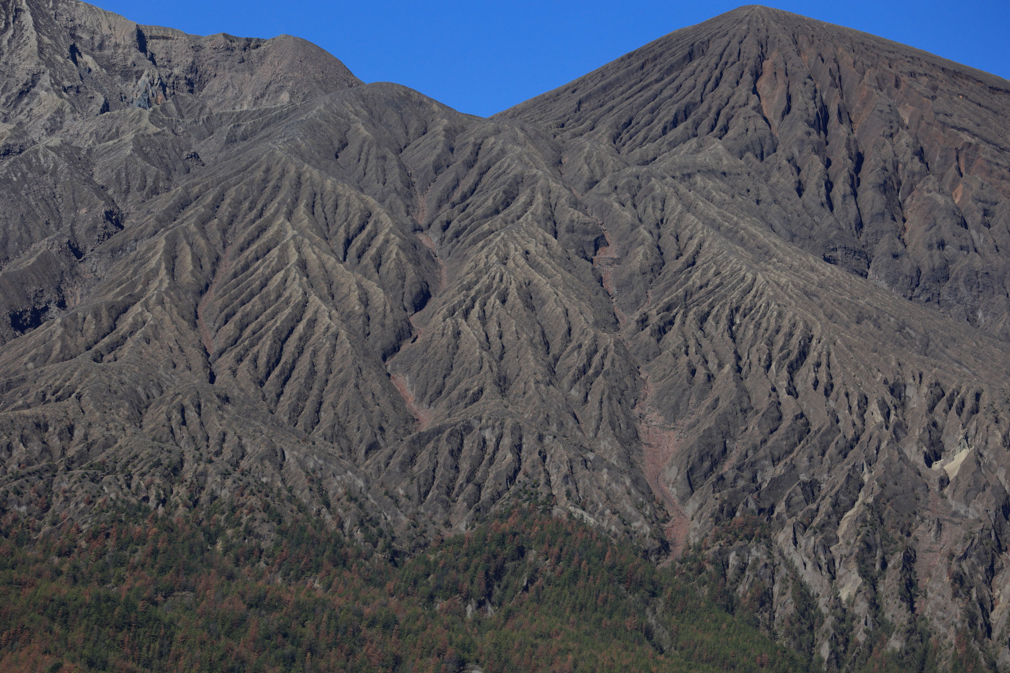 ここだけ見ると違う山にも感じる。(3月14日 黒神町)