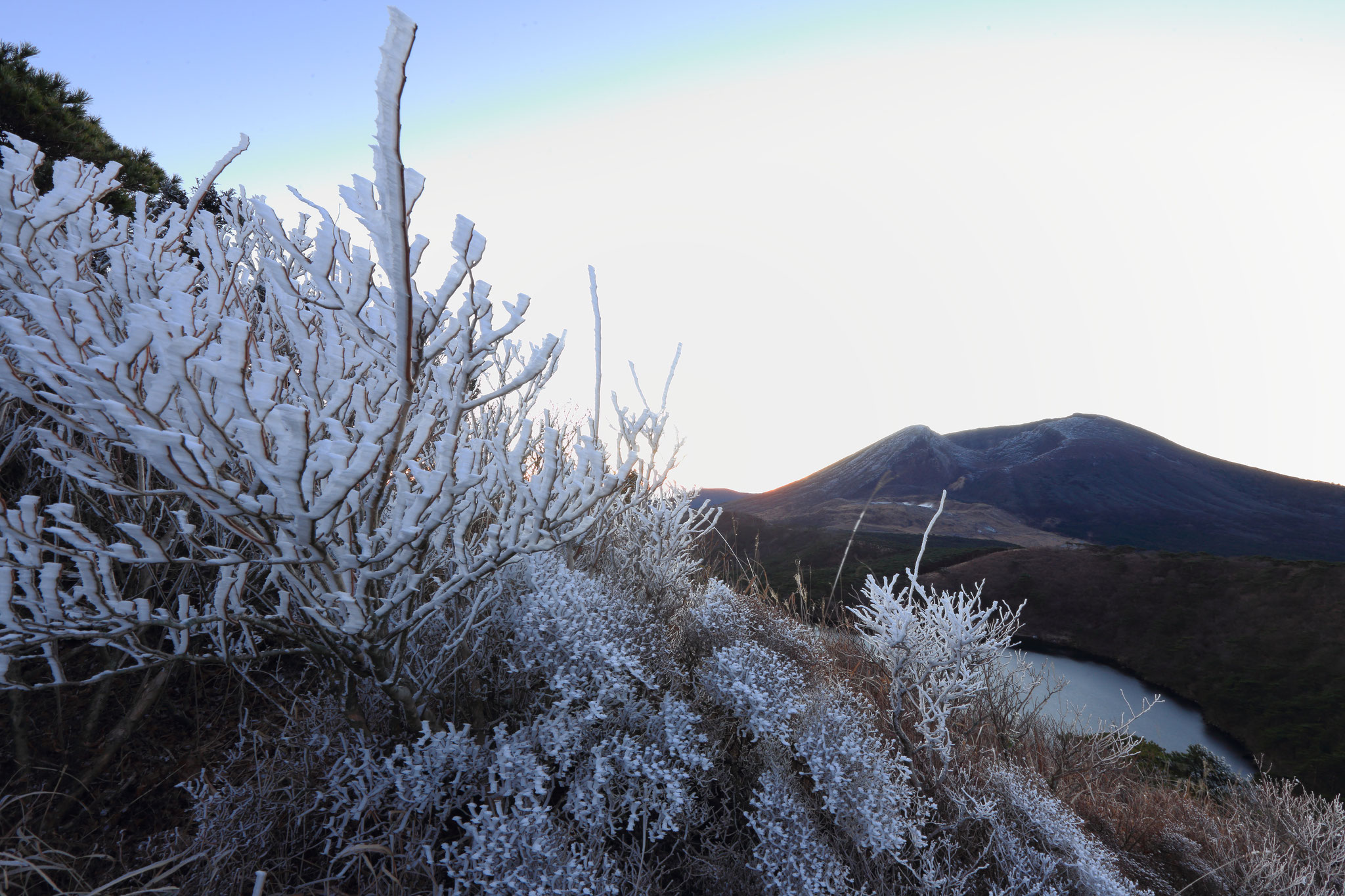 韓国岳と樹氷の木々（12/30 えびの高原白鳥山山頂）