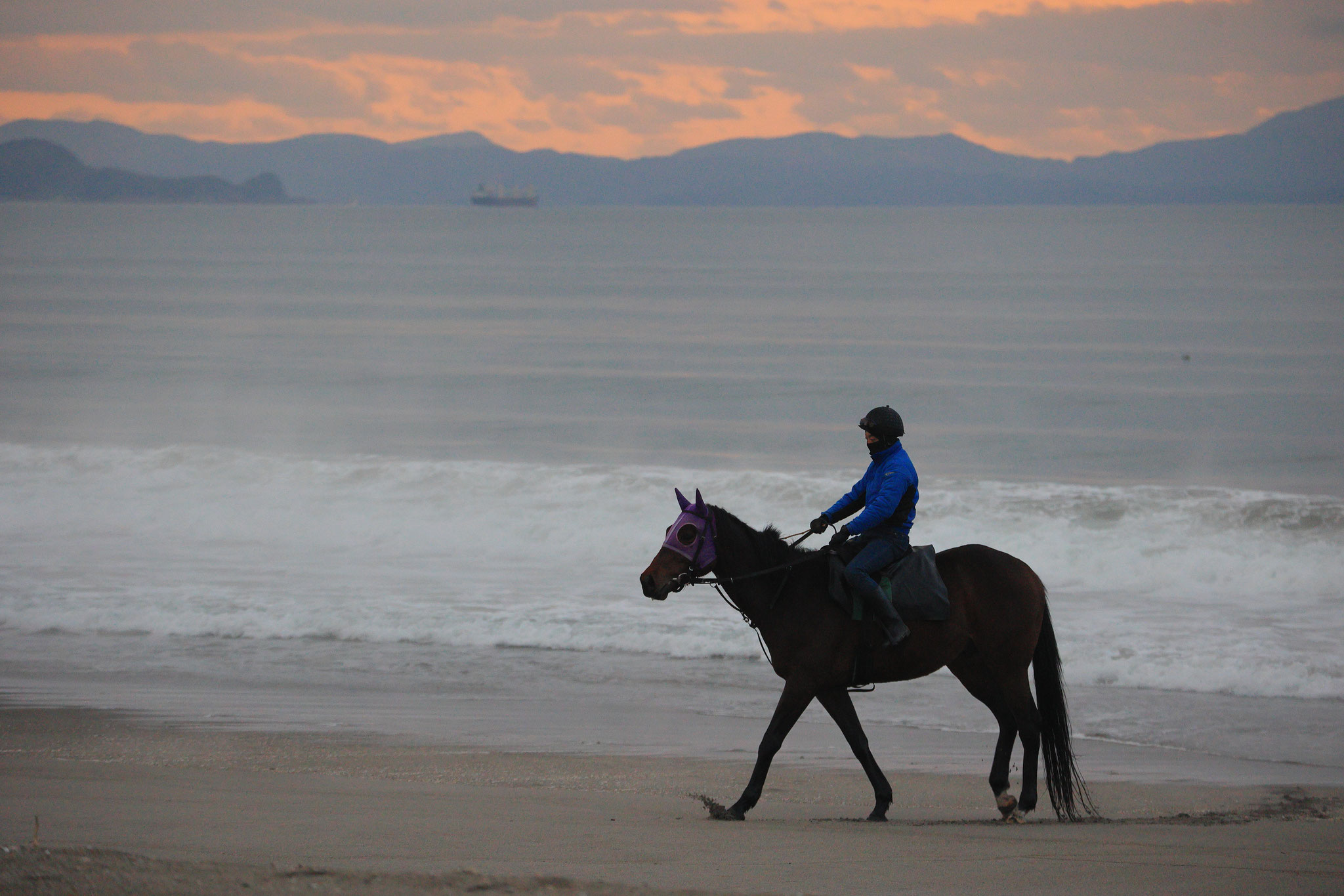 柏原海岸でトレーニングの競走馬(2月11日 東串良町)