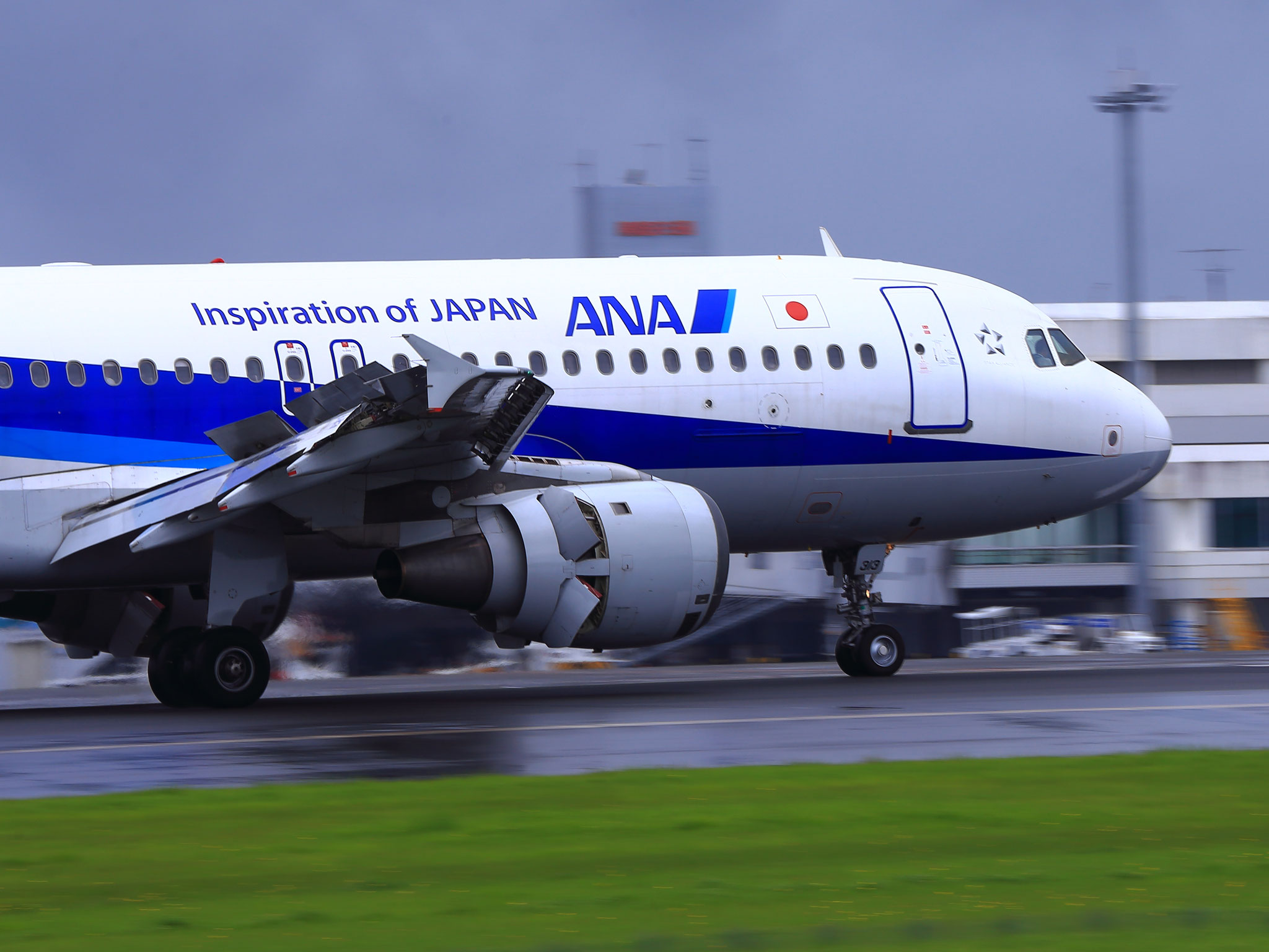 トランスフォームしそうなANA(鹿児島空港）