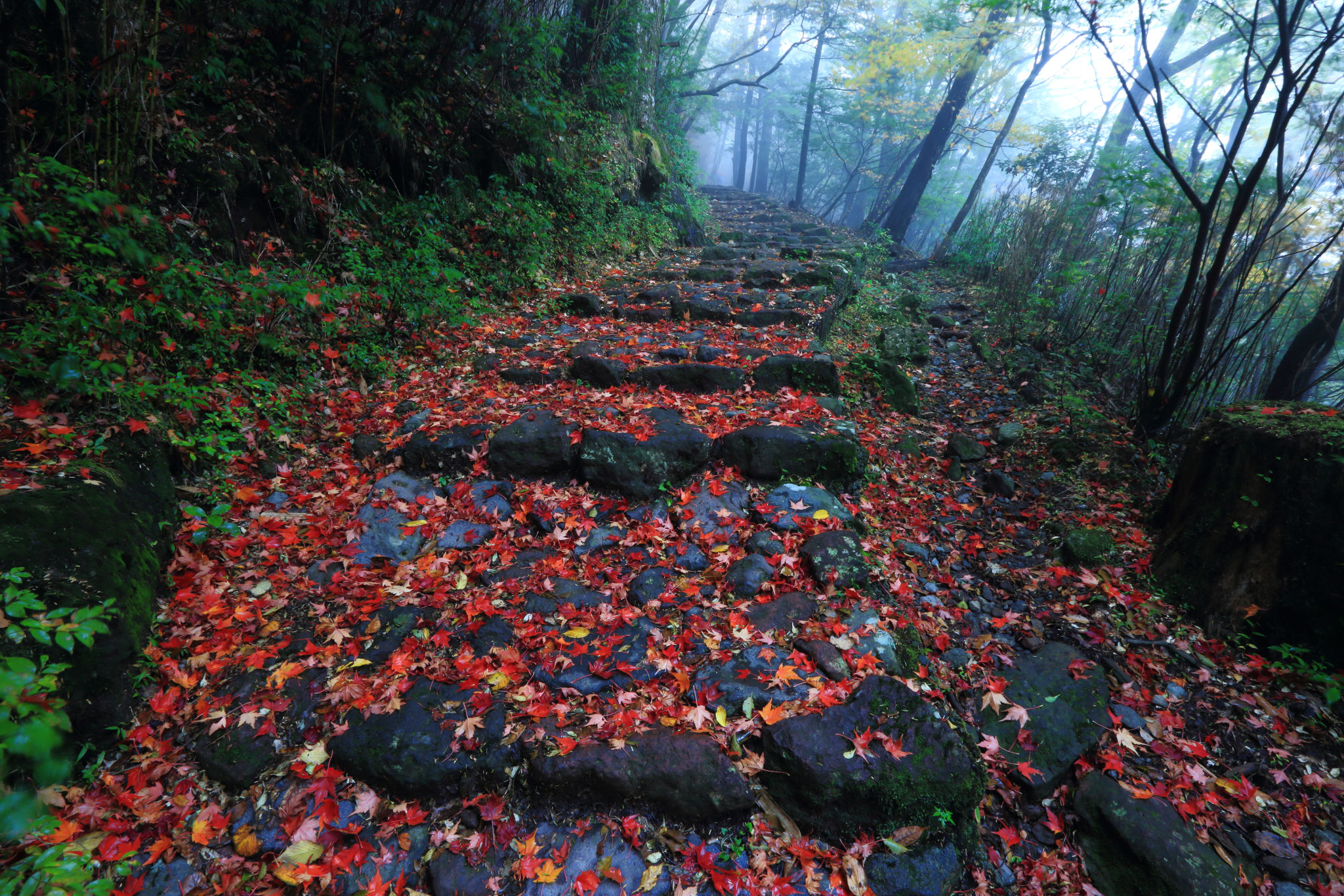 大浪池秋の登山道(10/27 霧島市)