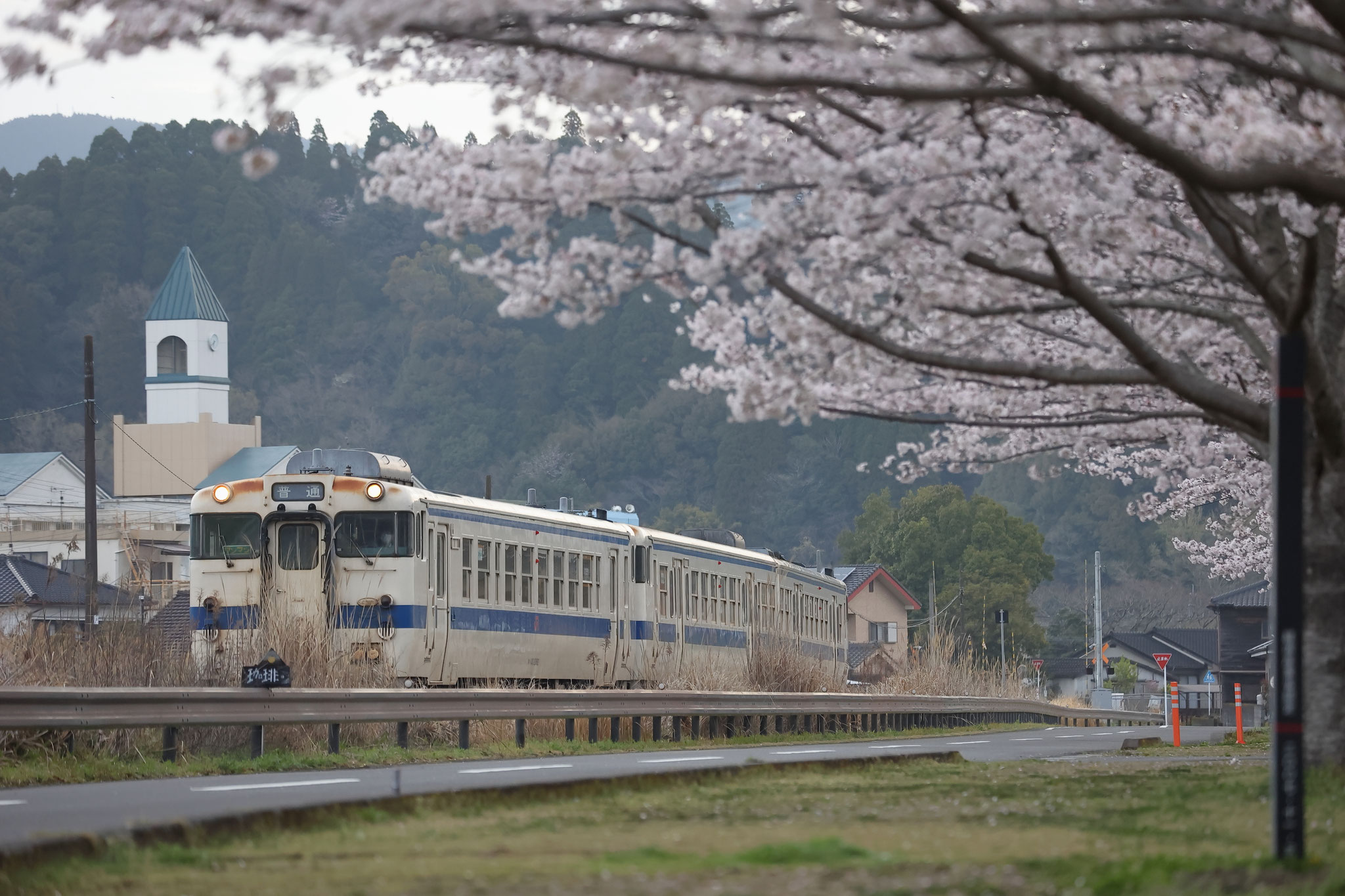春の景色を駆けて行く(3月27日 湧水町)