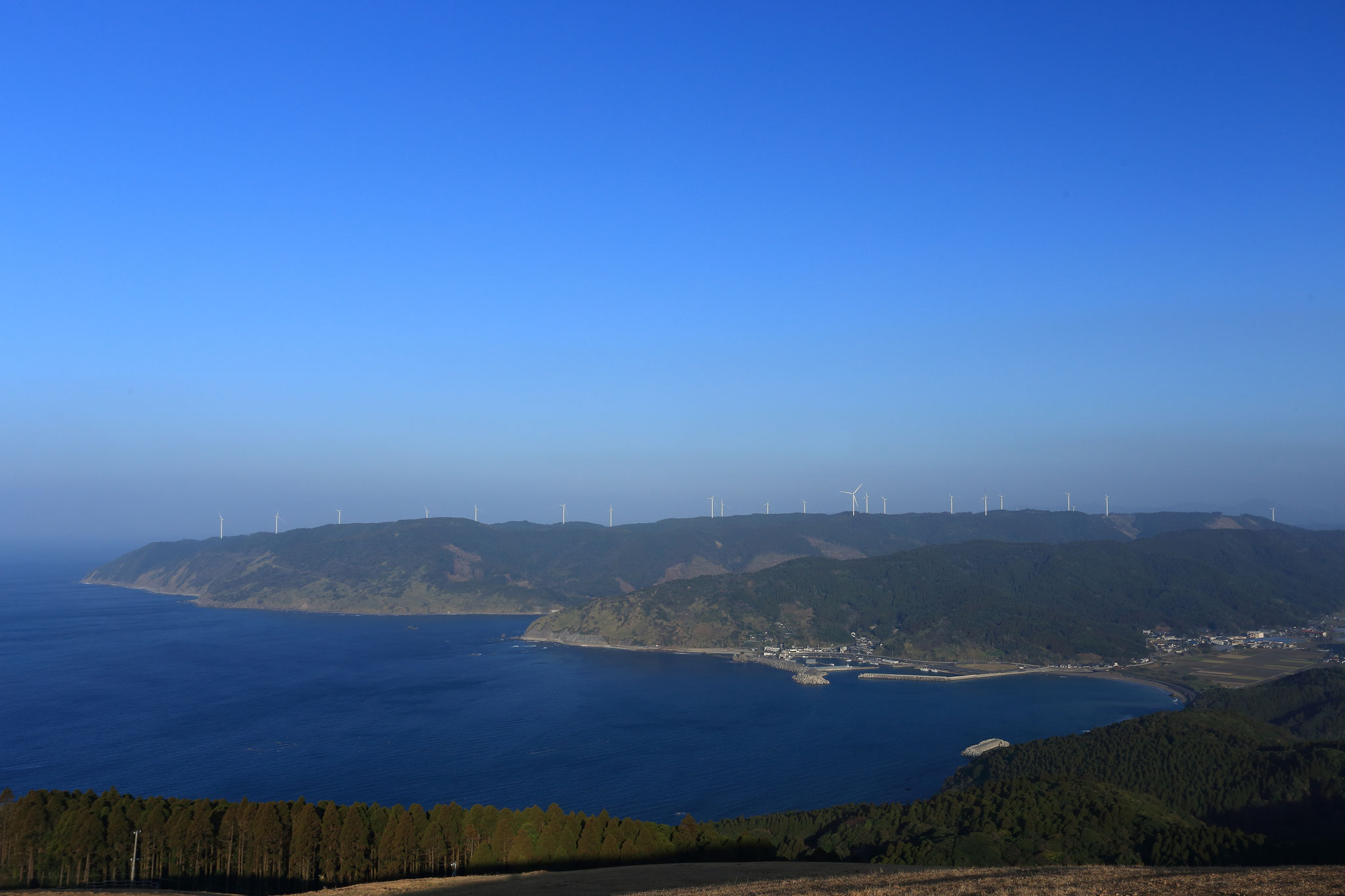 丘の上からの絶景(2/23 串間市都井岬)