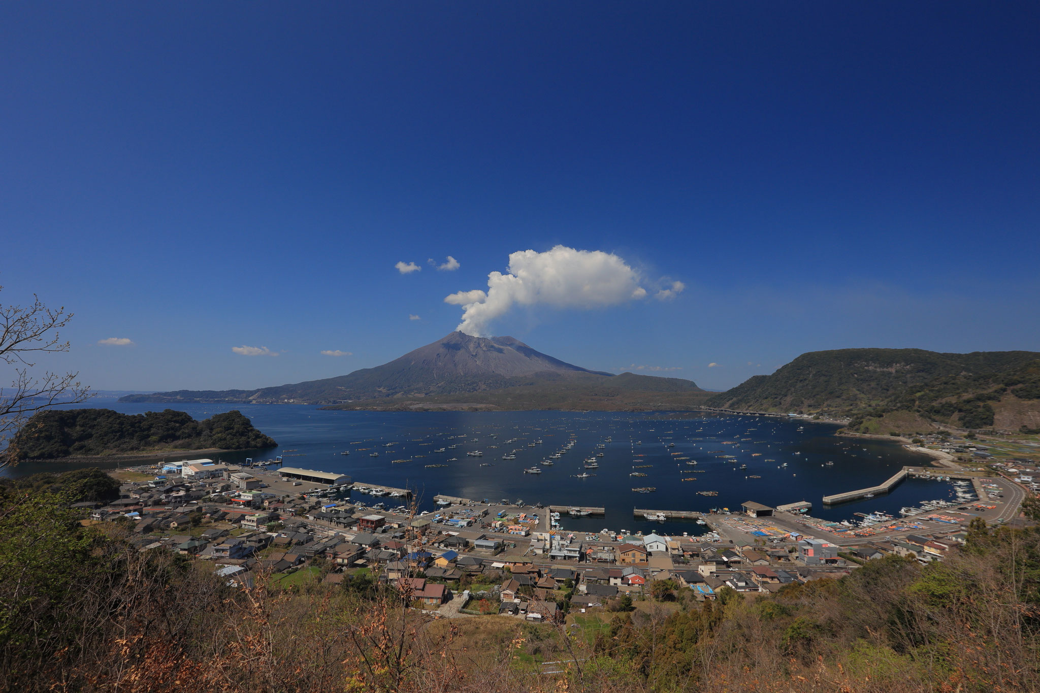 朝の青空で清々しい桜島(3月10日 垂水市)