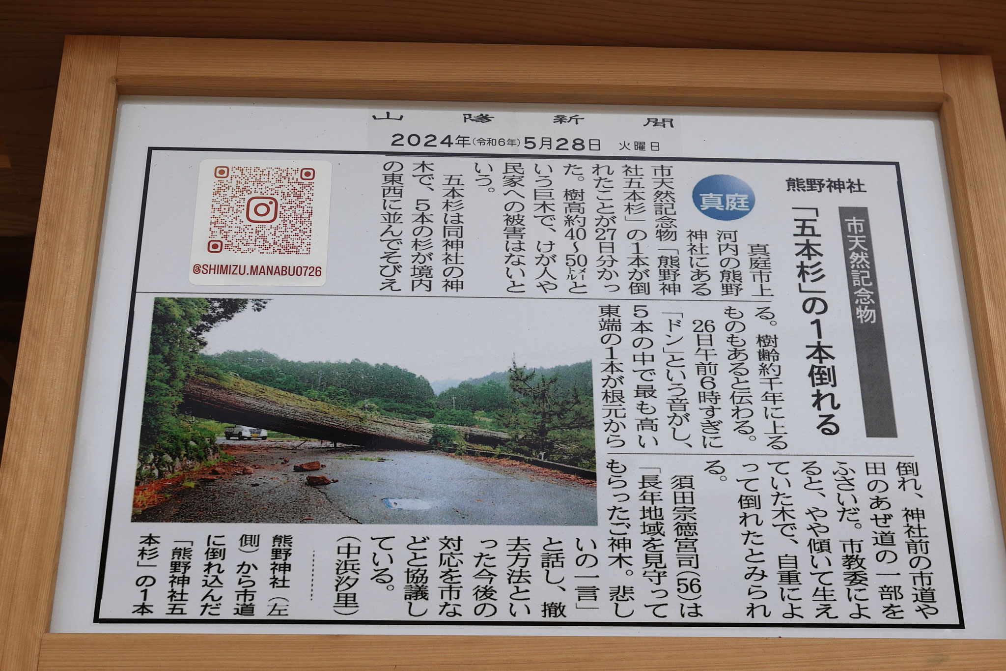 木彫りの龍の詳細(5月3日　宮崎県都城市)