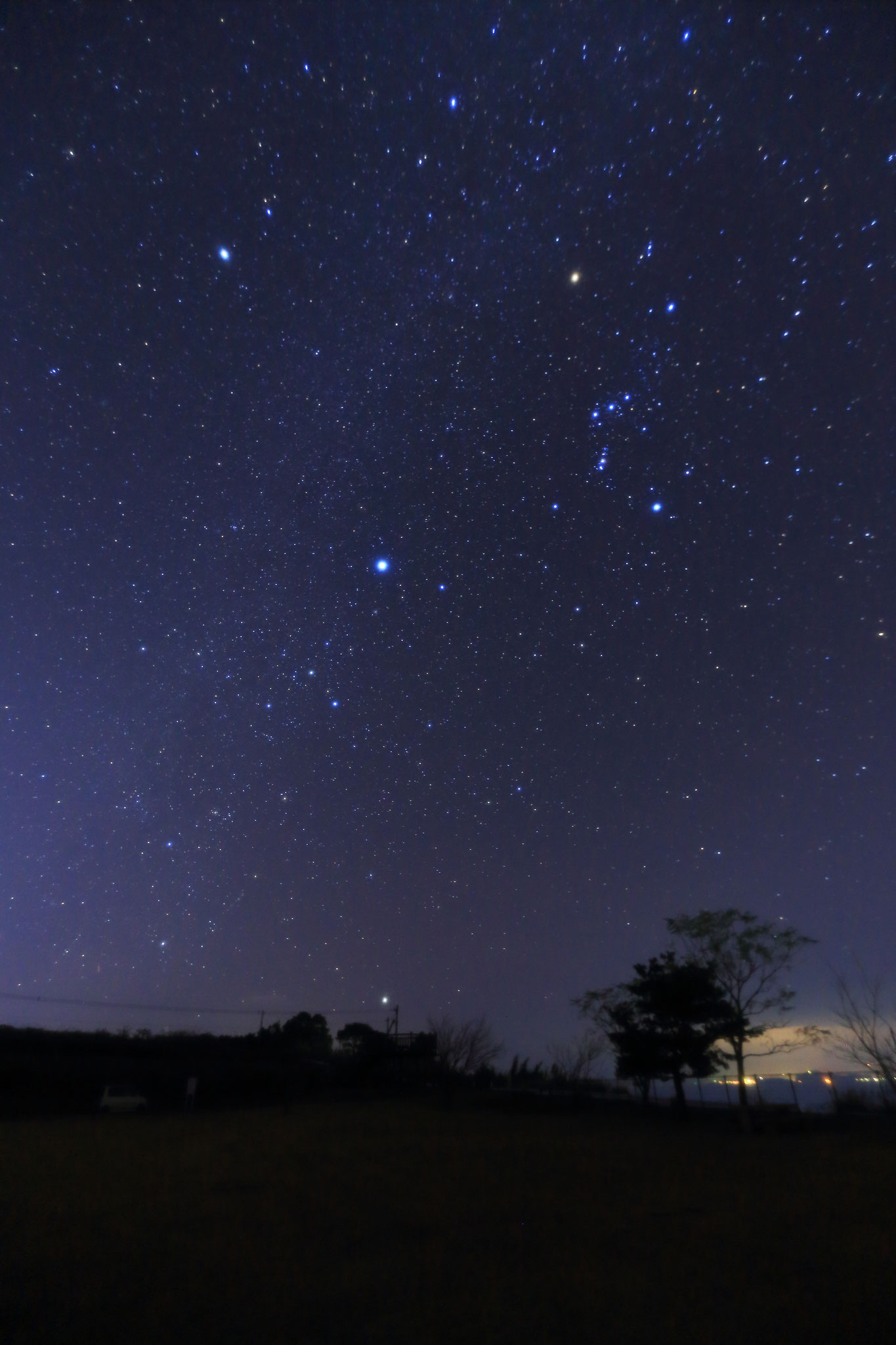 この時期に会える地平線付近の明るい星カノープス（12/23 鹿屋市高千穂公園）