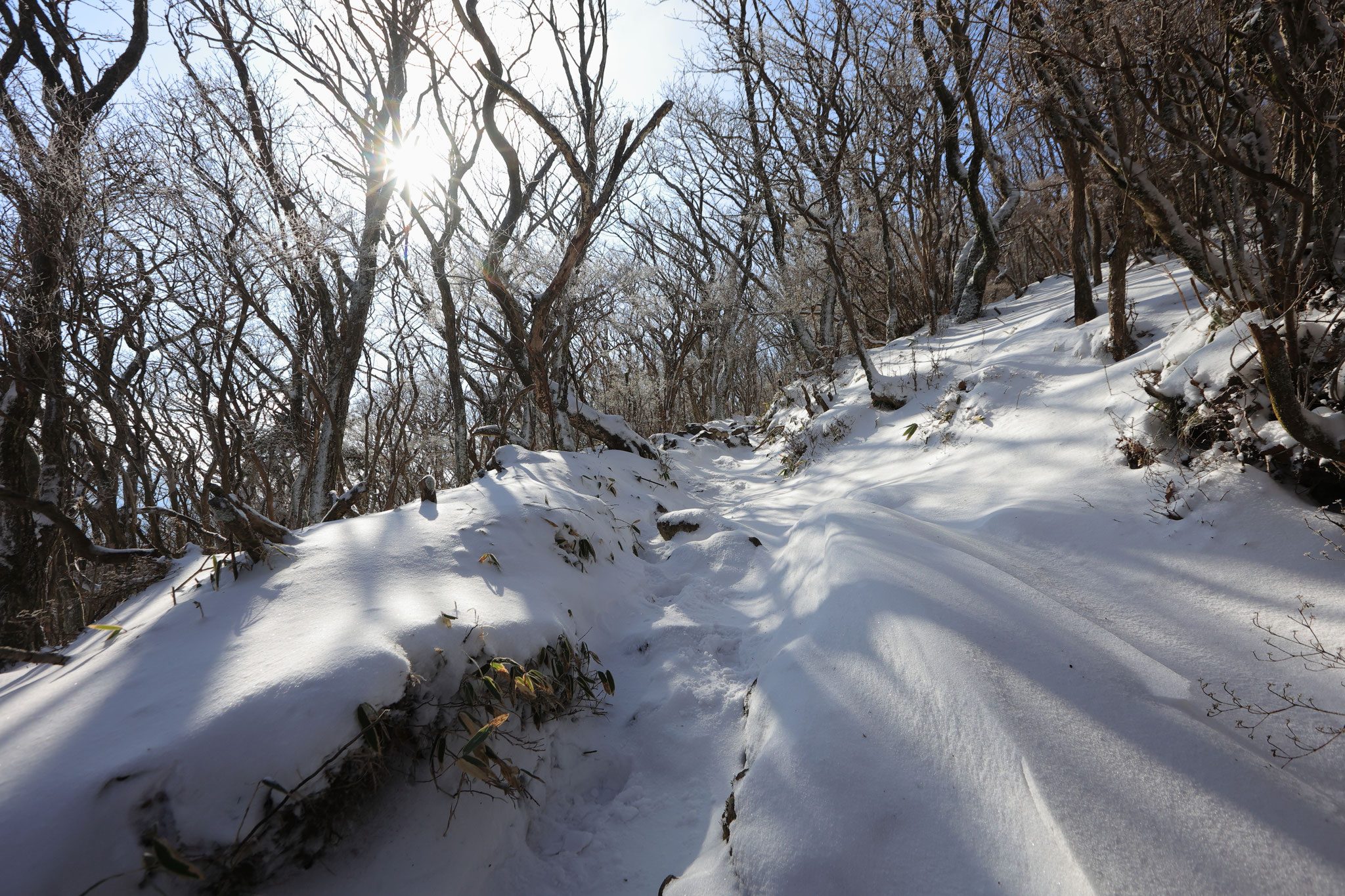 大浪池登山道には深く雪残る(1月13日 霧島市)