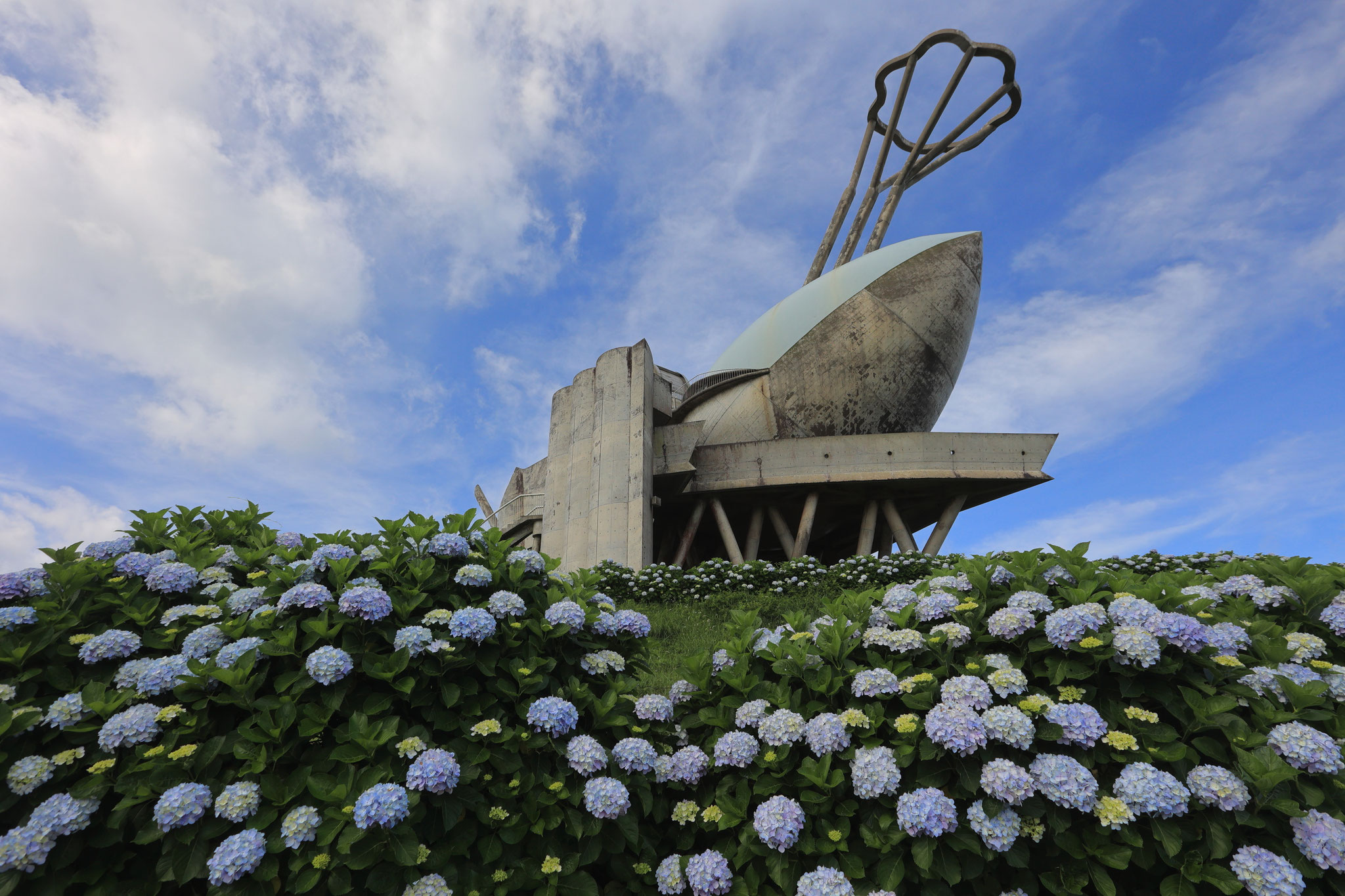 輝北天球館に下で咲く紫陽花(6月21日 鹿屋市)