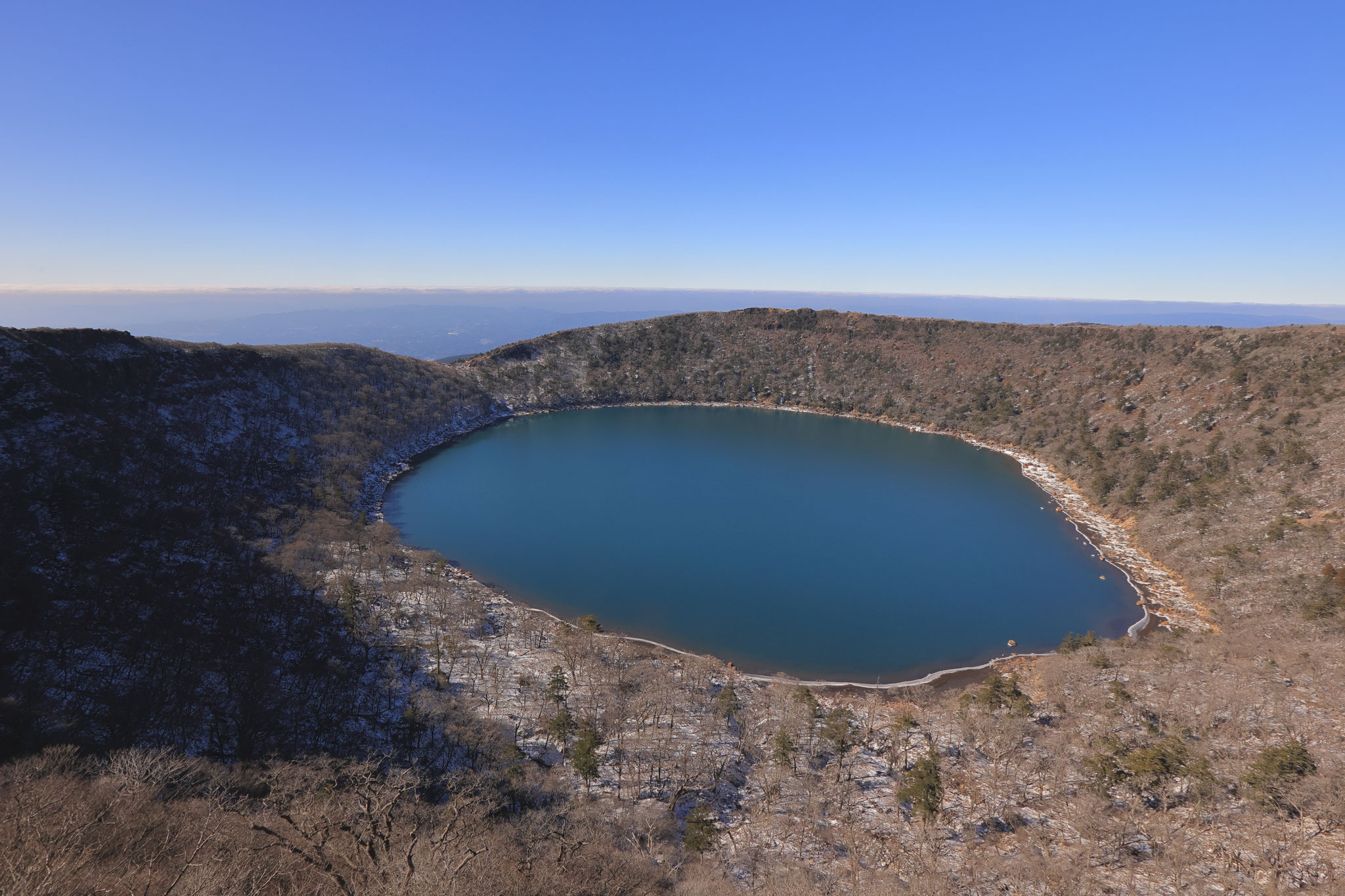 紅葉を見せたあのころとは一変した木々(1月12日 霧島市)