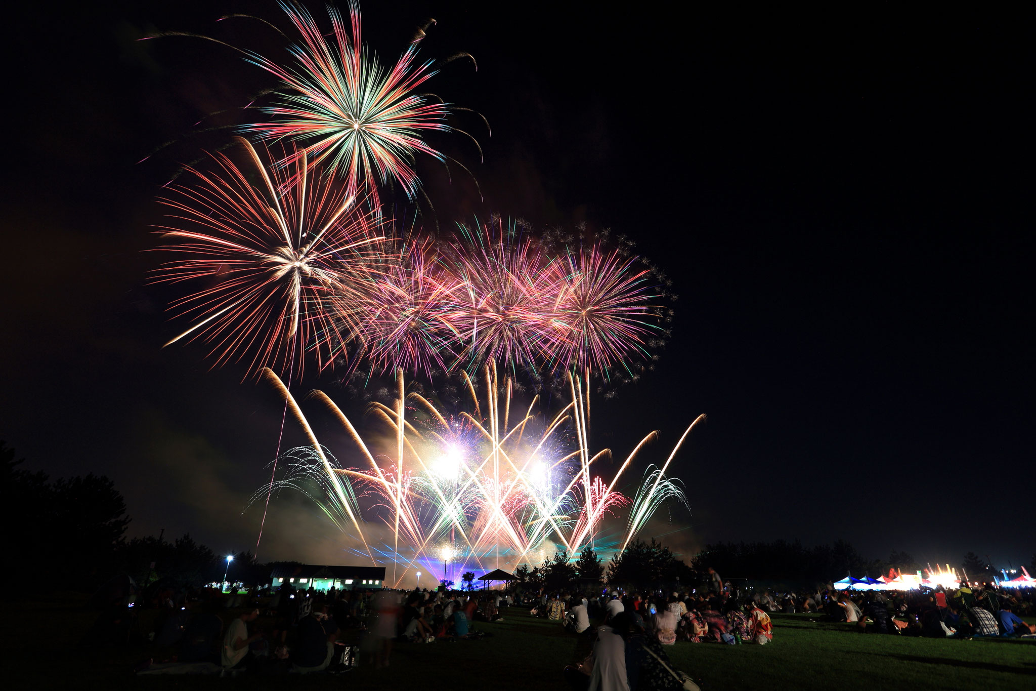 桜島火の島祭り打ち上がる鮮やかな花火（7/29 桜島多目的広場）
