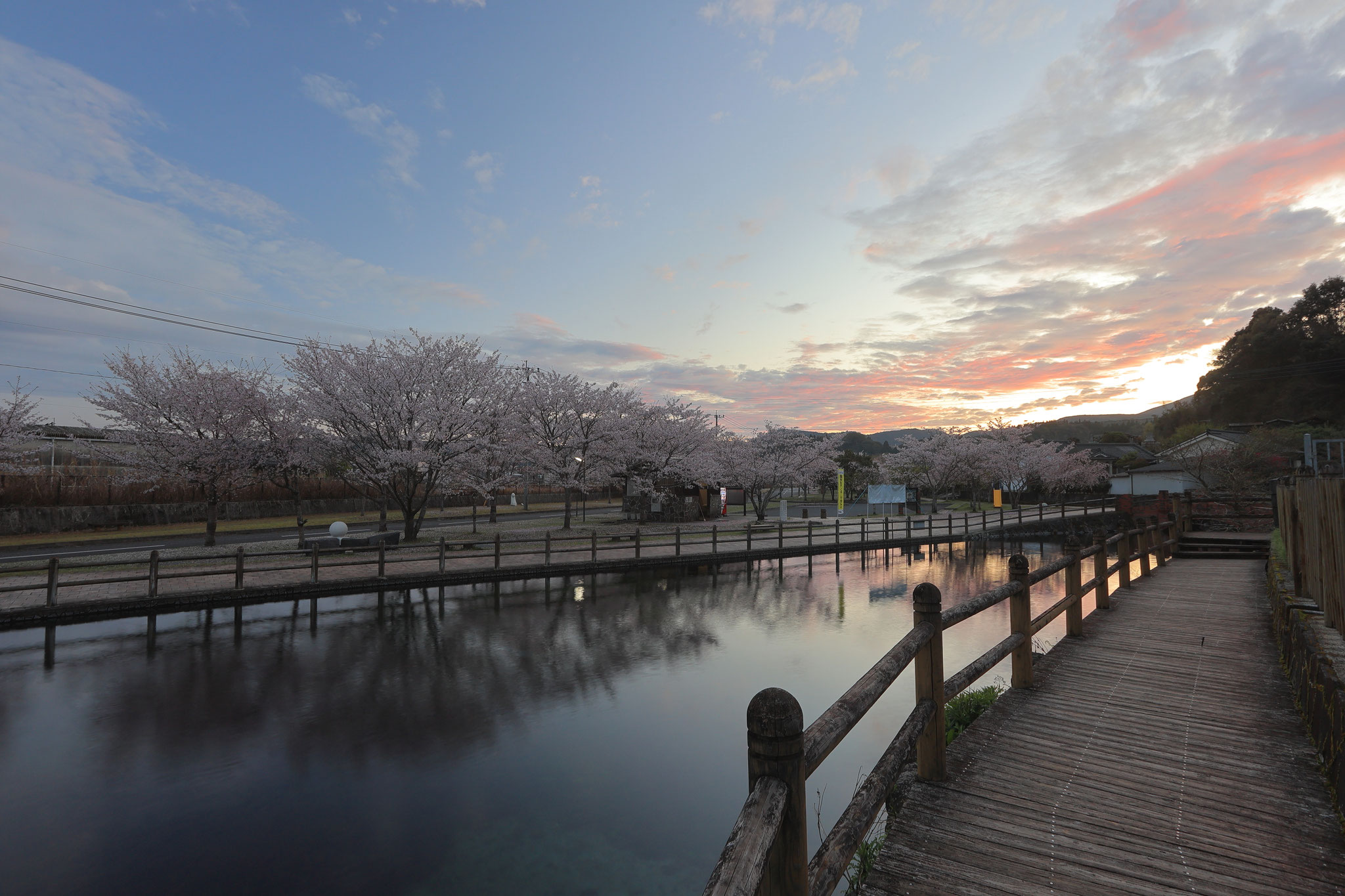 丸池湧水朝景色(4月1日 湧水町)
