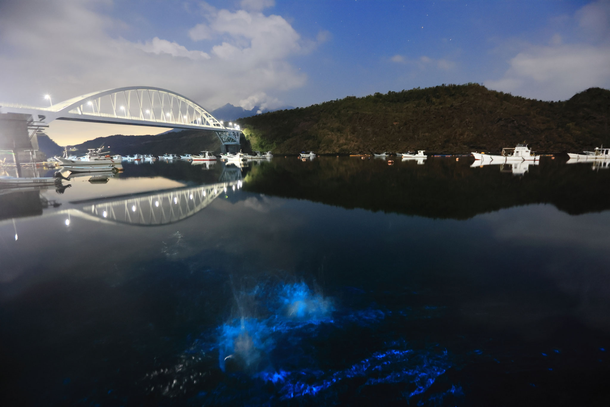赤潮に夜、刺激を与えると青く発光する。(2月28日 垂水市)