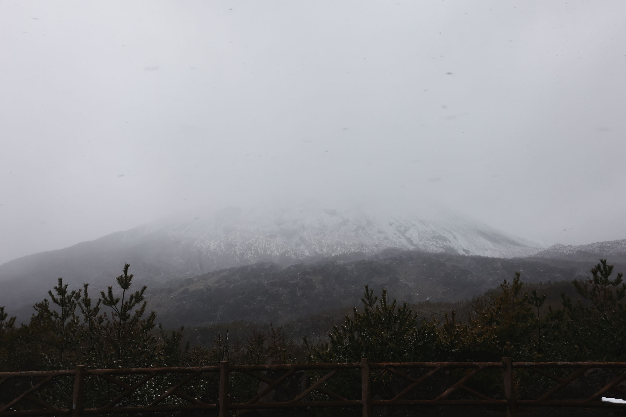 雪降る有村溶岩展望所にて桜島をなんとか撮影(2月8日 桜島町)