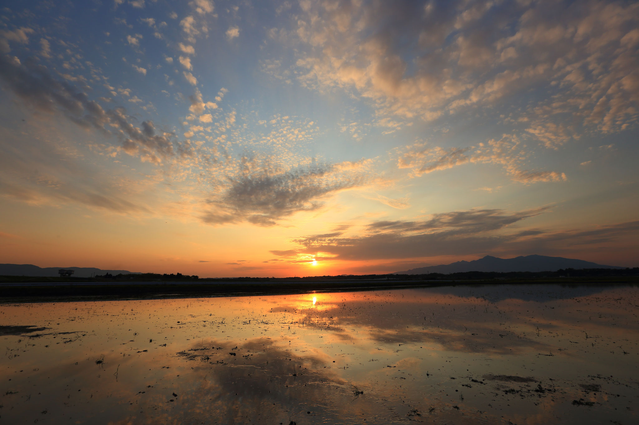 水田からの夕焼けはより美しく見えた (4/6 串良町)