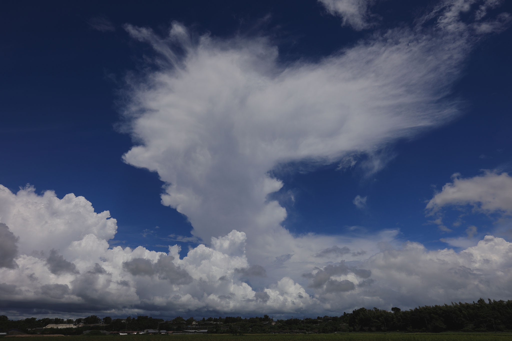 変化の激しい積乱雲(8月2７日 東串良町)