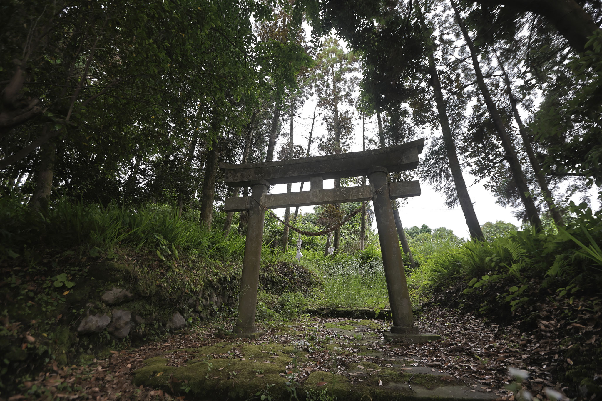 桜島で神社巡り～三柱神社～(5月28日 鹿児島市)