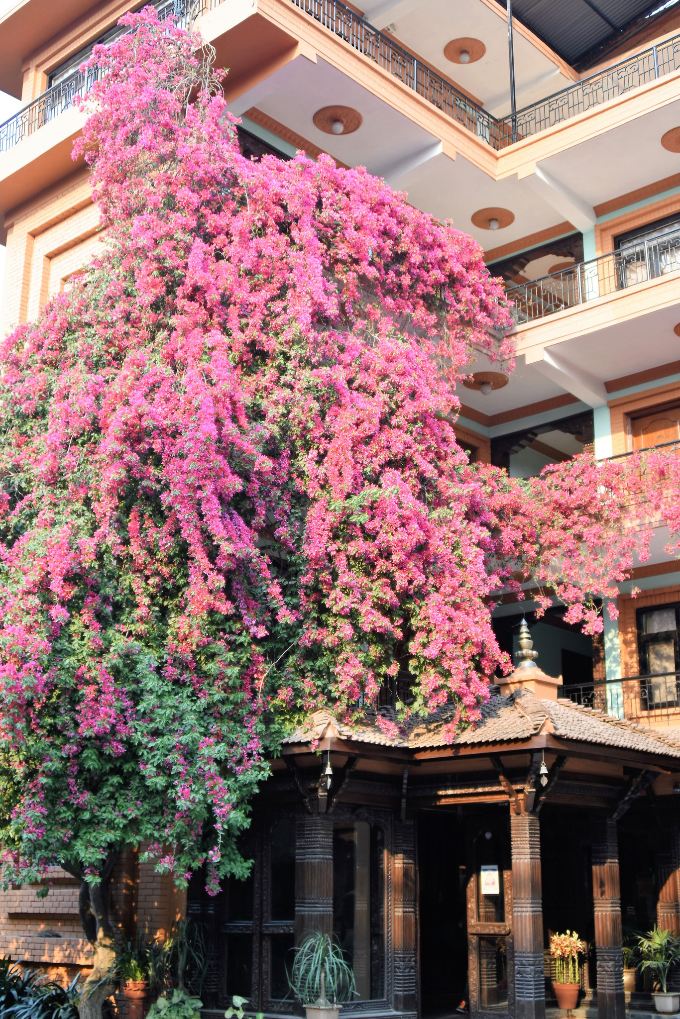 International Guesthouse in Thamel