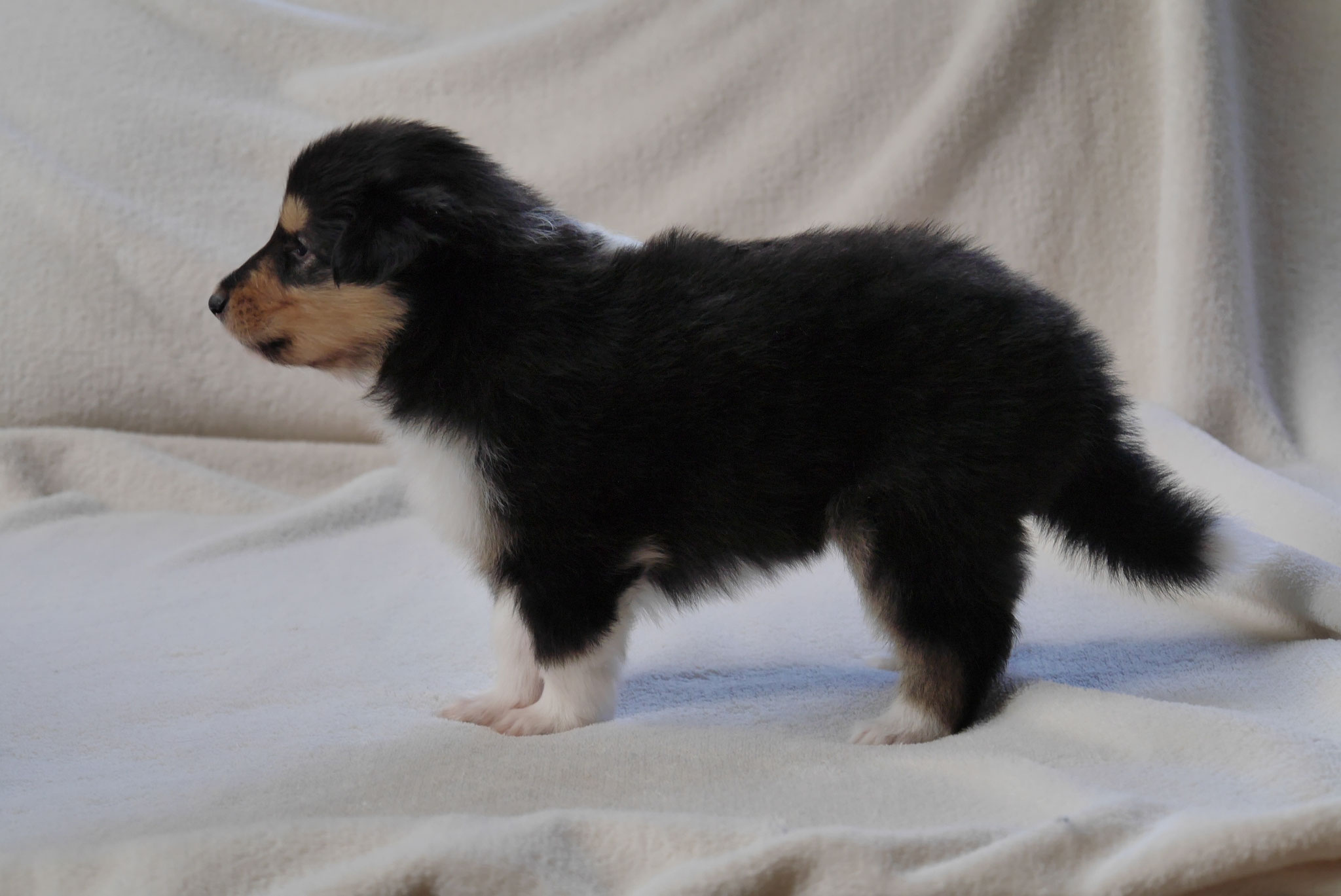Bonny mit 4 Wochen 