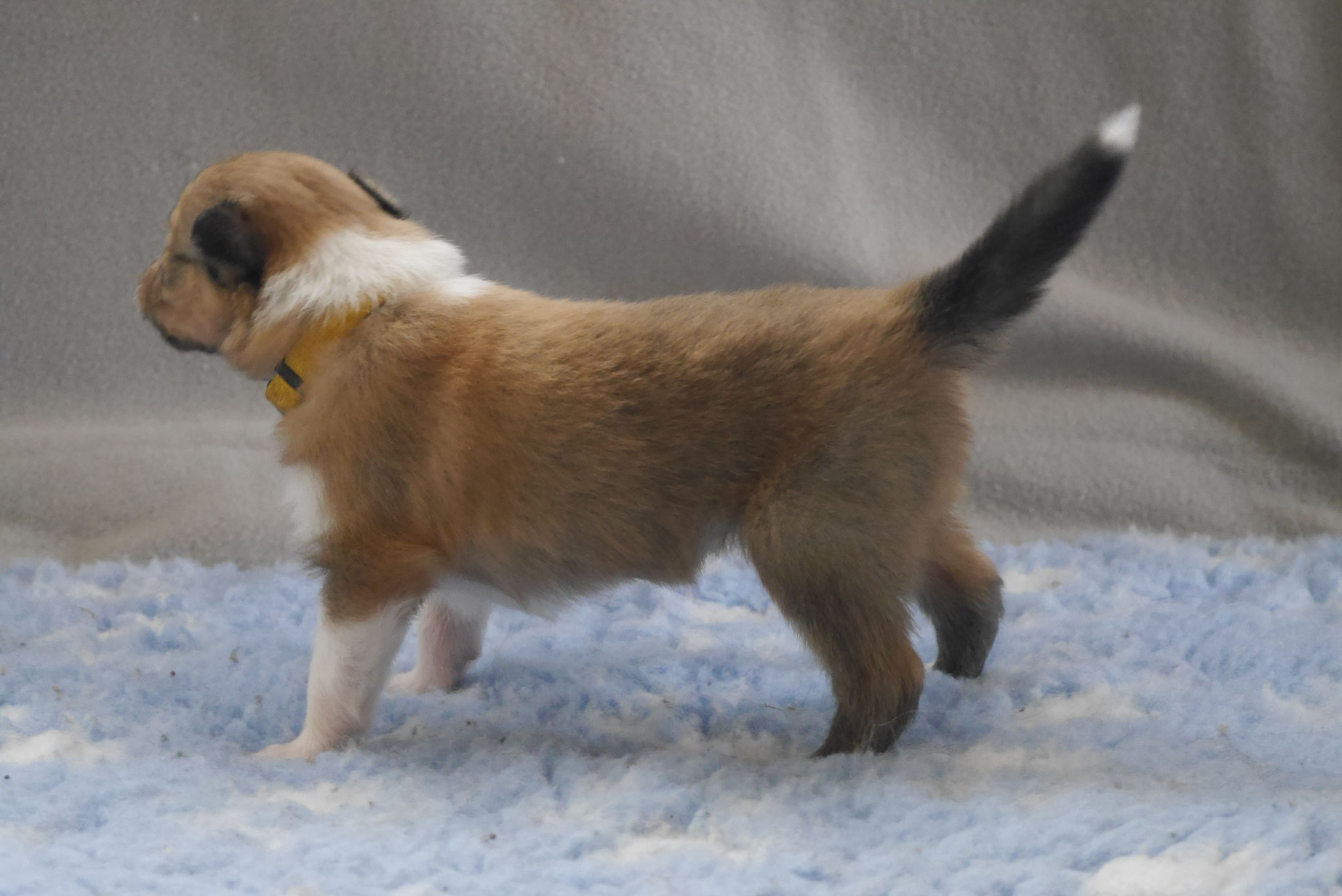 Infinity mit 3 Wochen