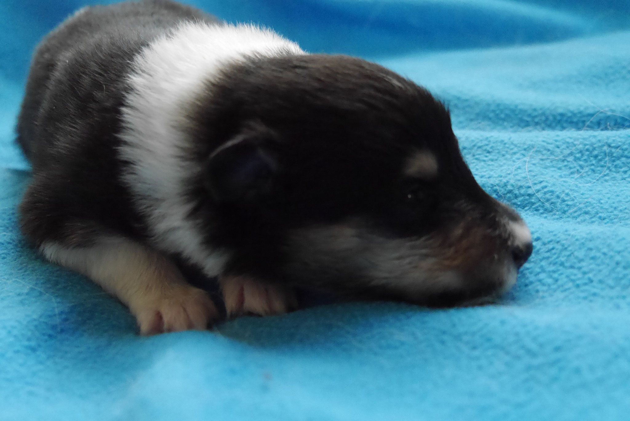 Enya mit 2 Wochen