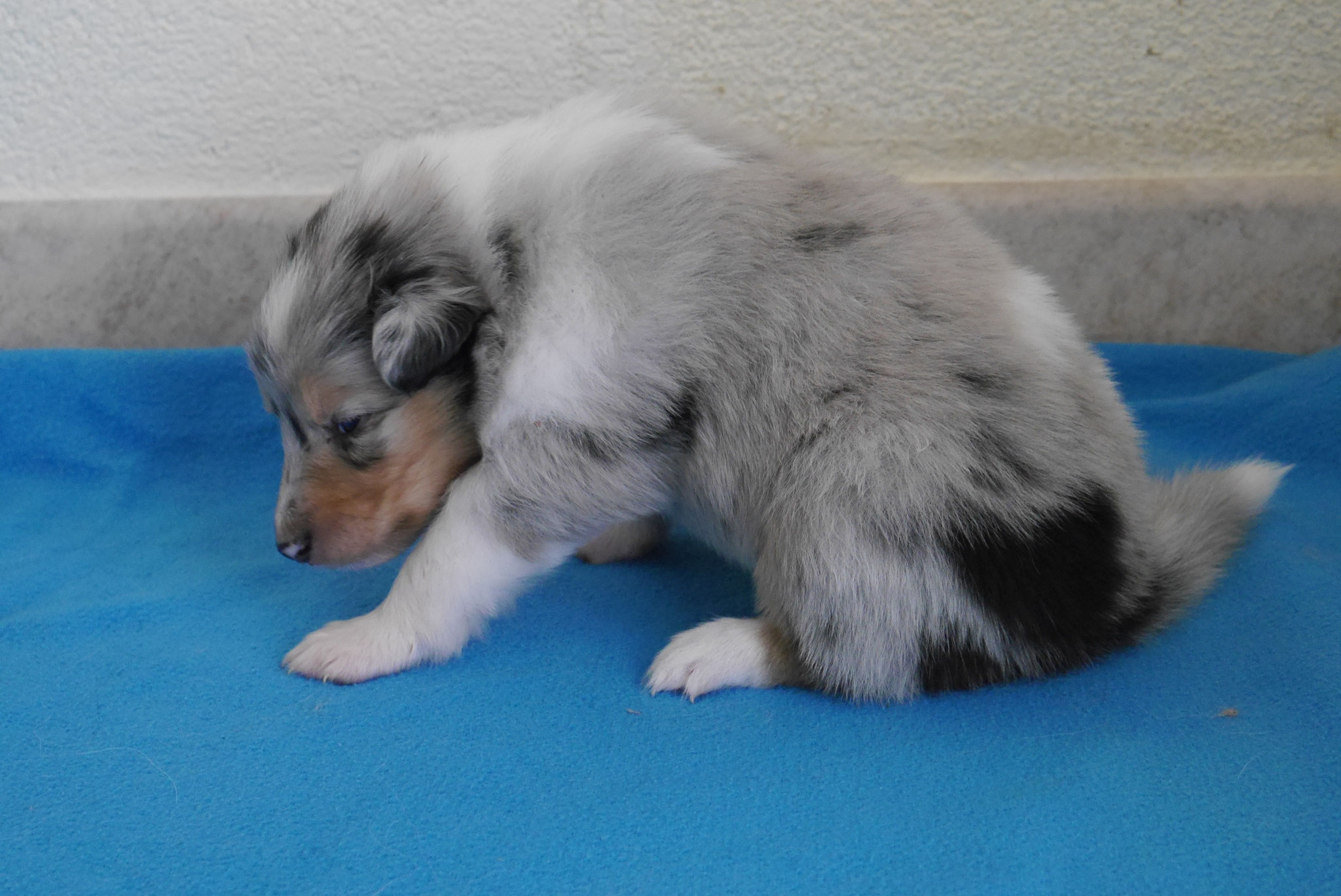 Juna mit 3 Wochen 