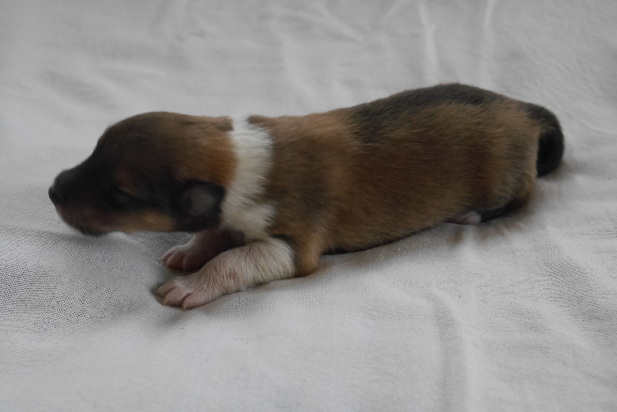 Iron Men mit 1ner Woche 