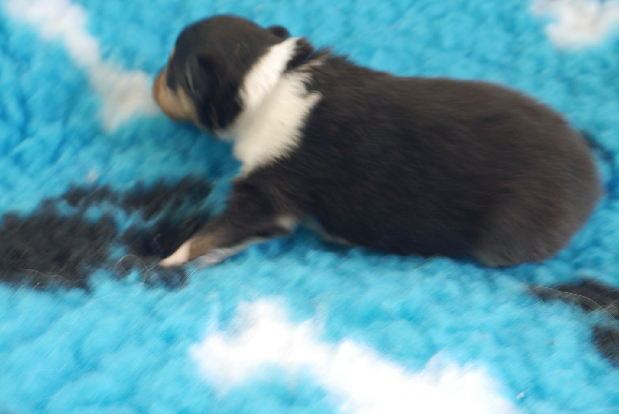 LeRoy mit 2 Wochen 