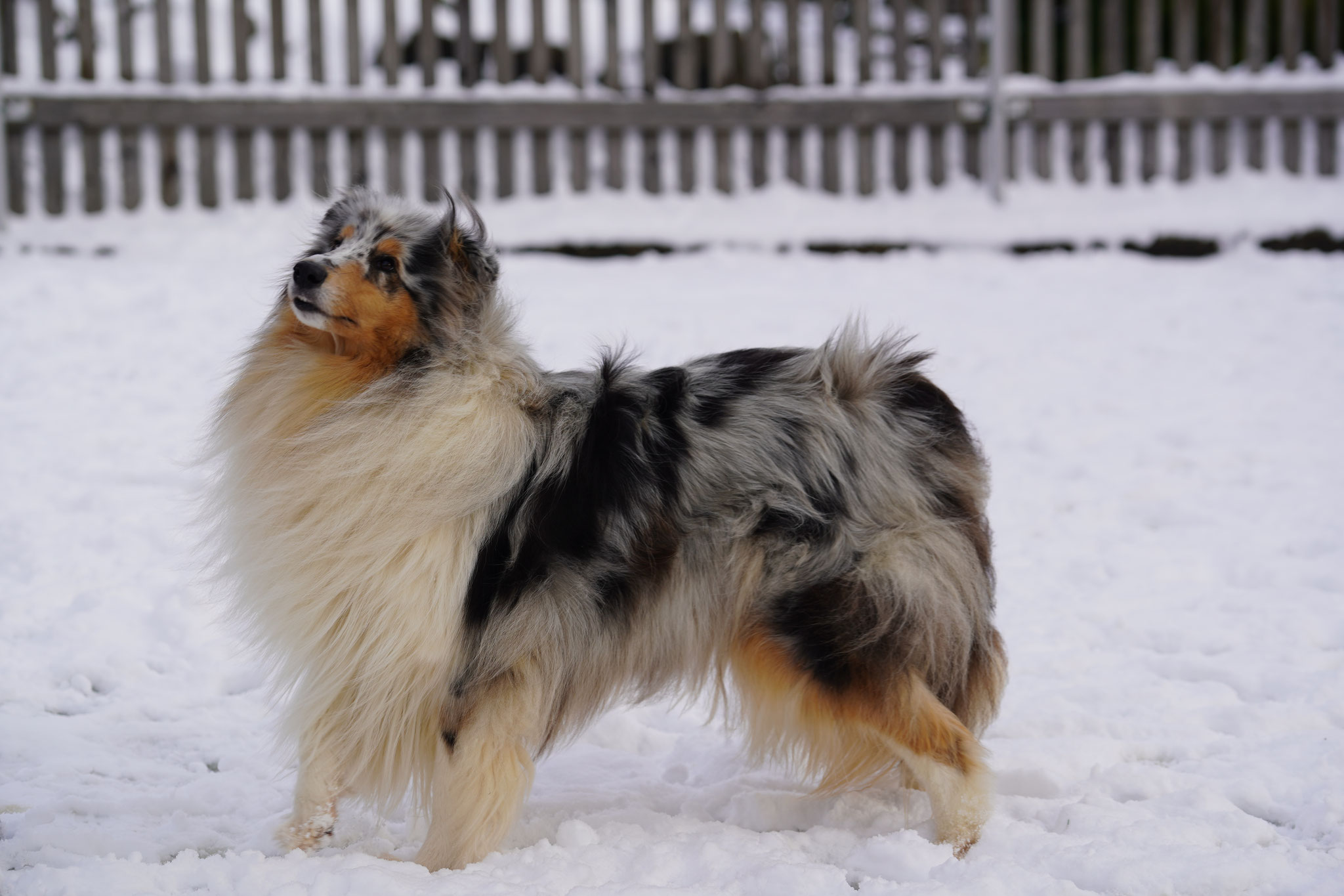 Gwen mit 4 Jahren 