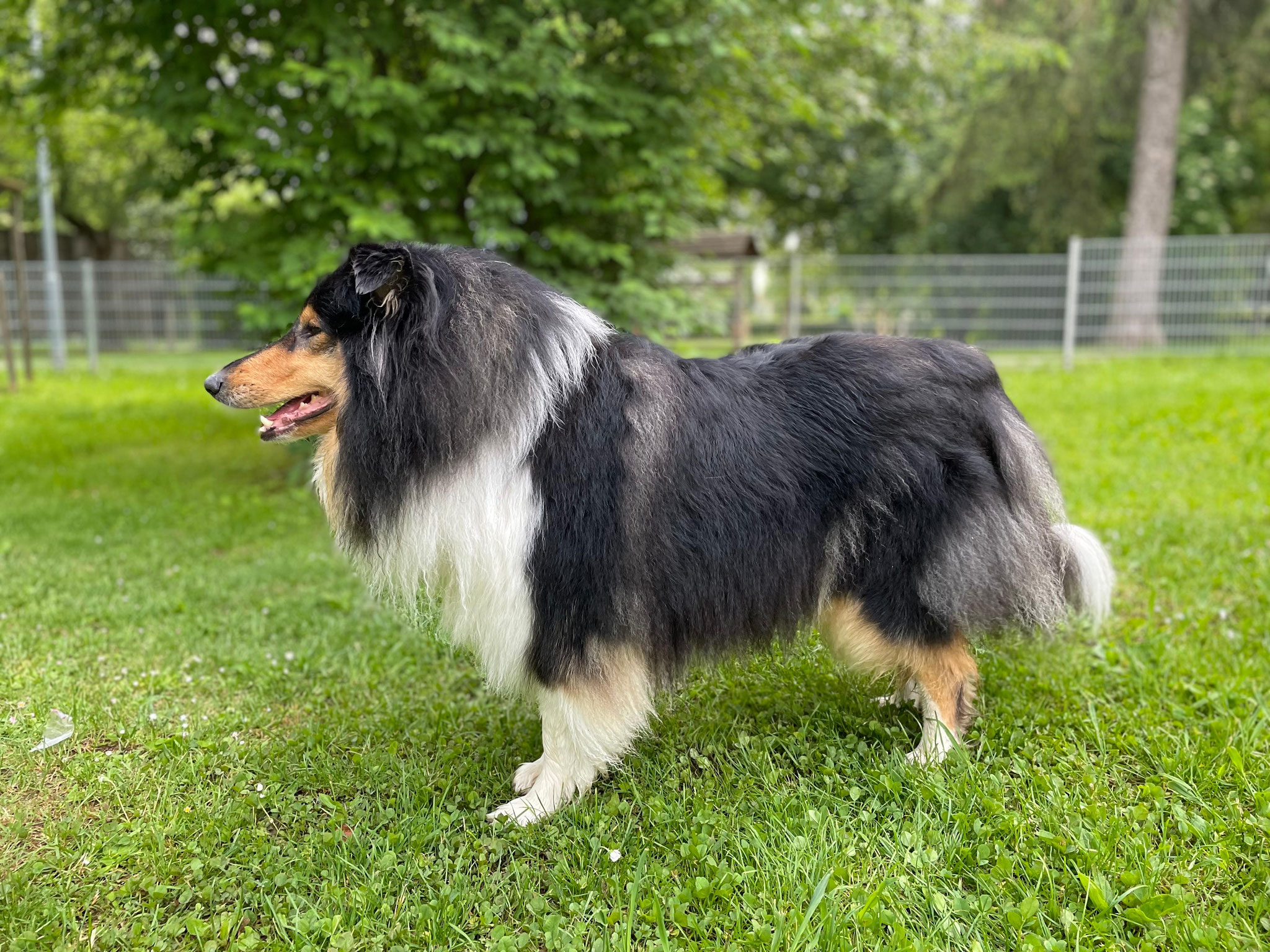 Hermine mit 3 Jahren 