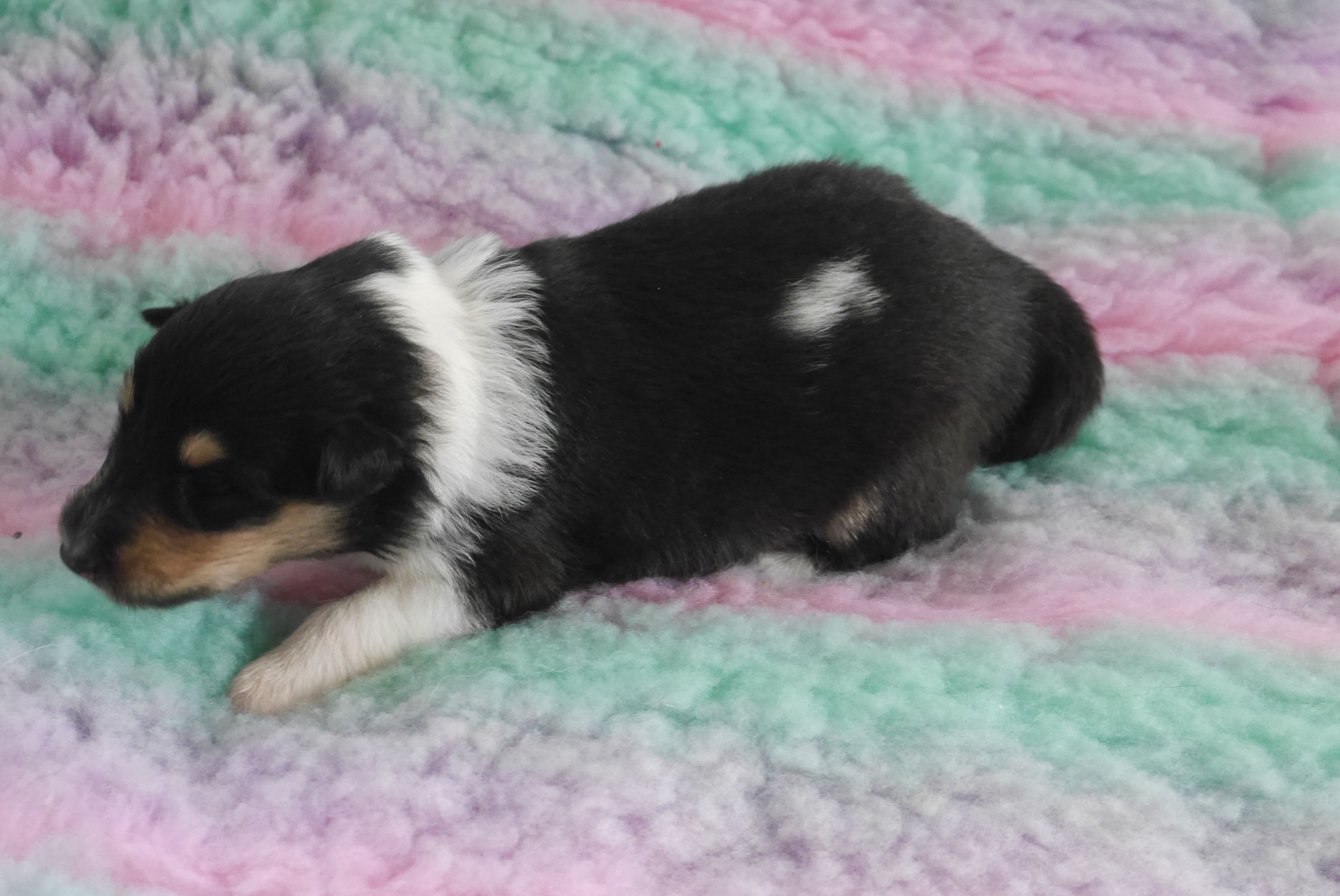 Maja mit 2 Wochen 