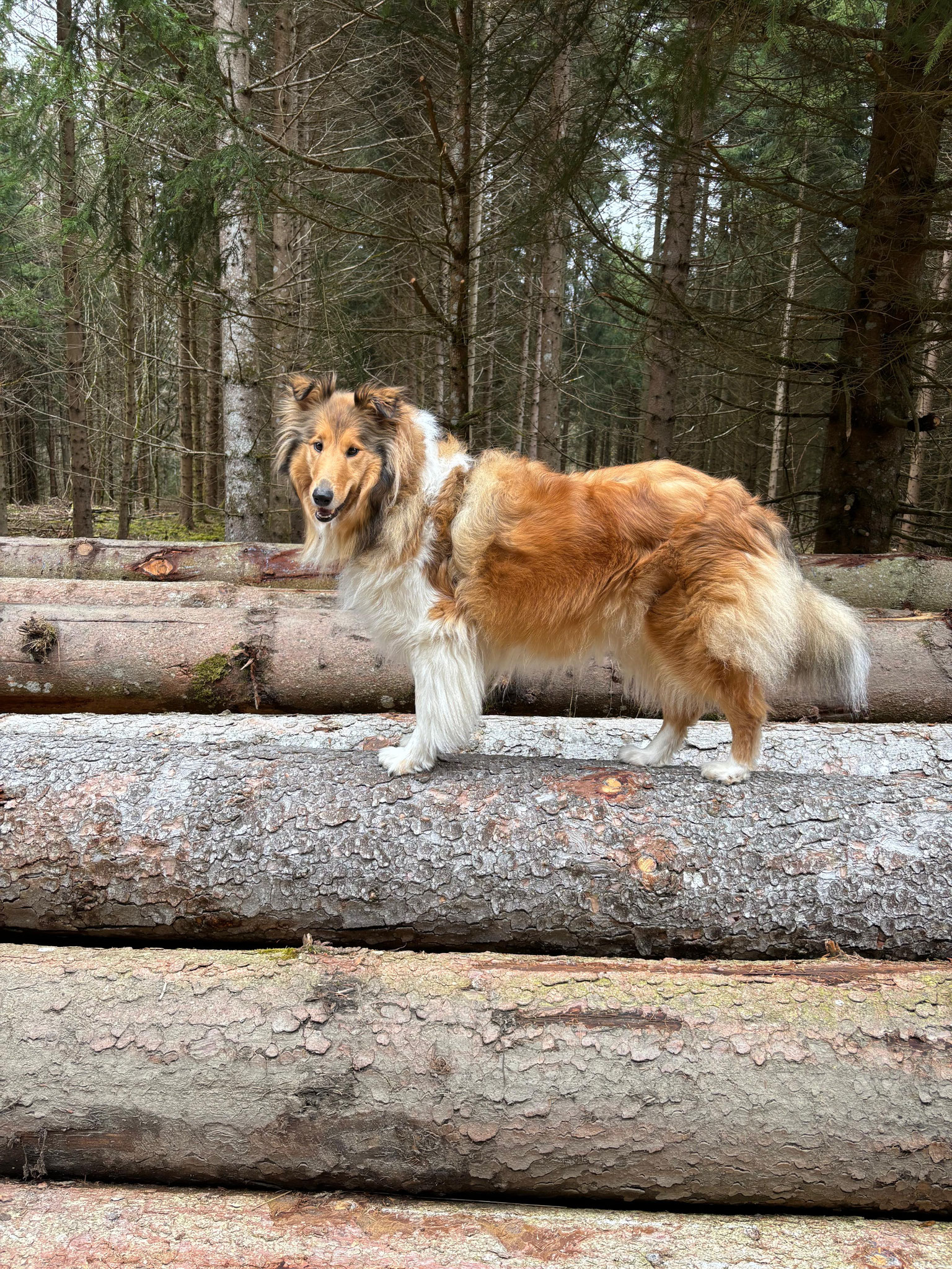 Klara mit 4 Jahren 