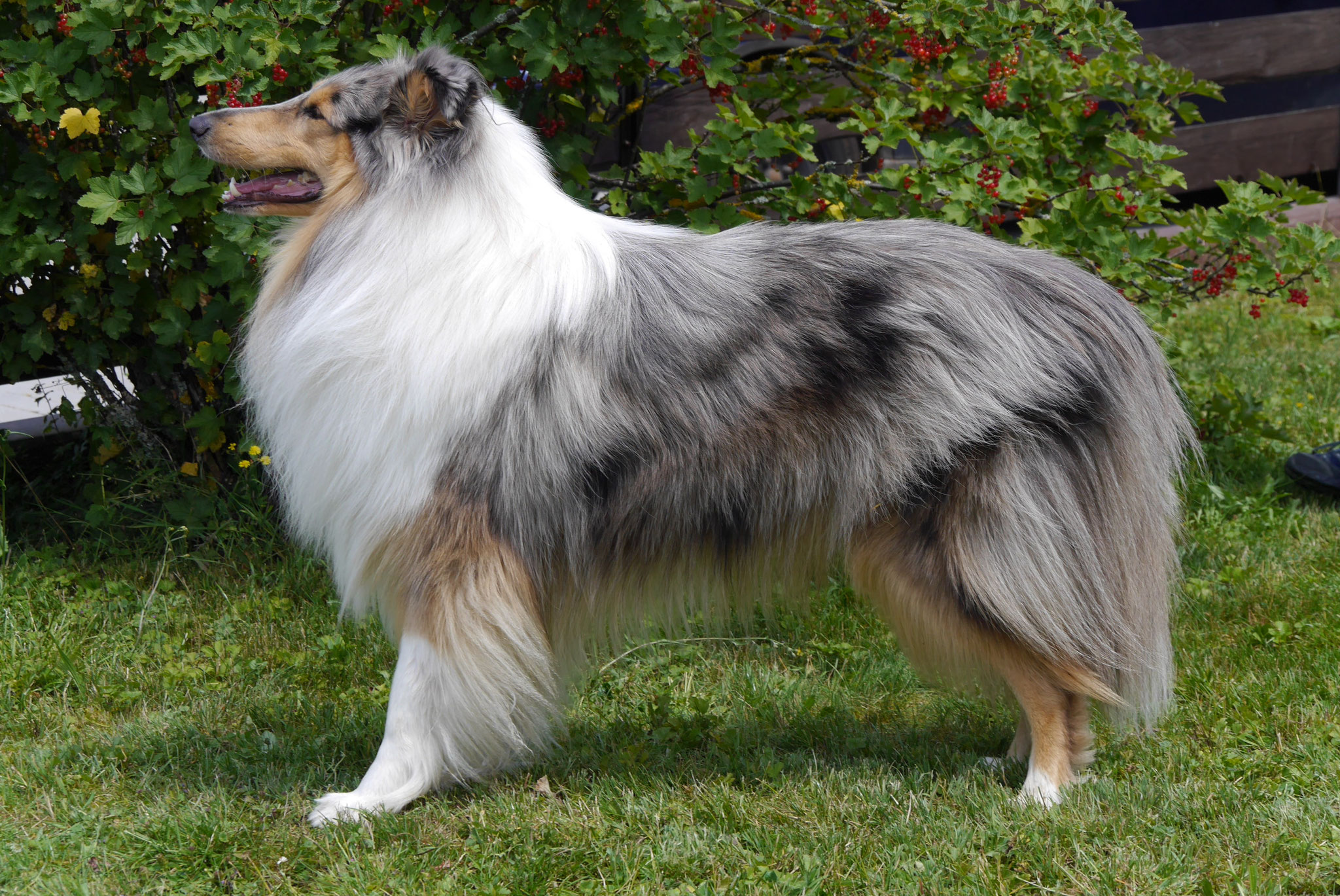 Antonio mit 2,5 Jahren