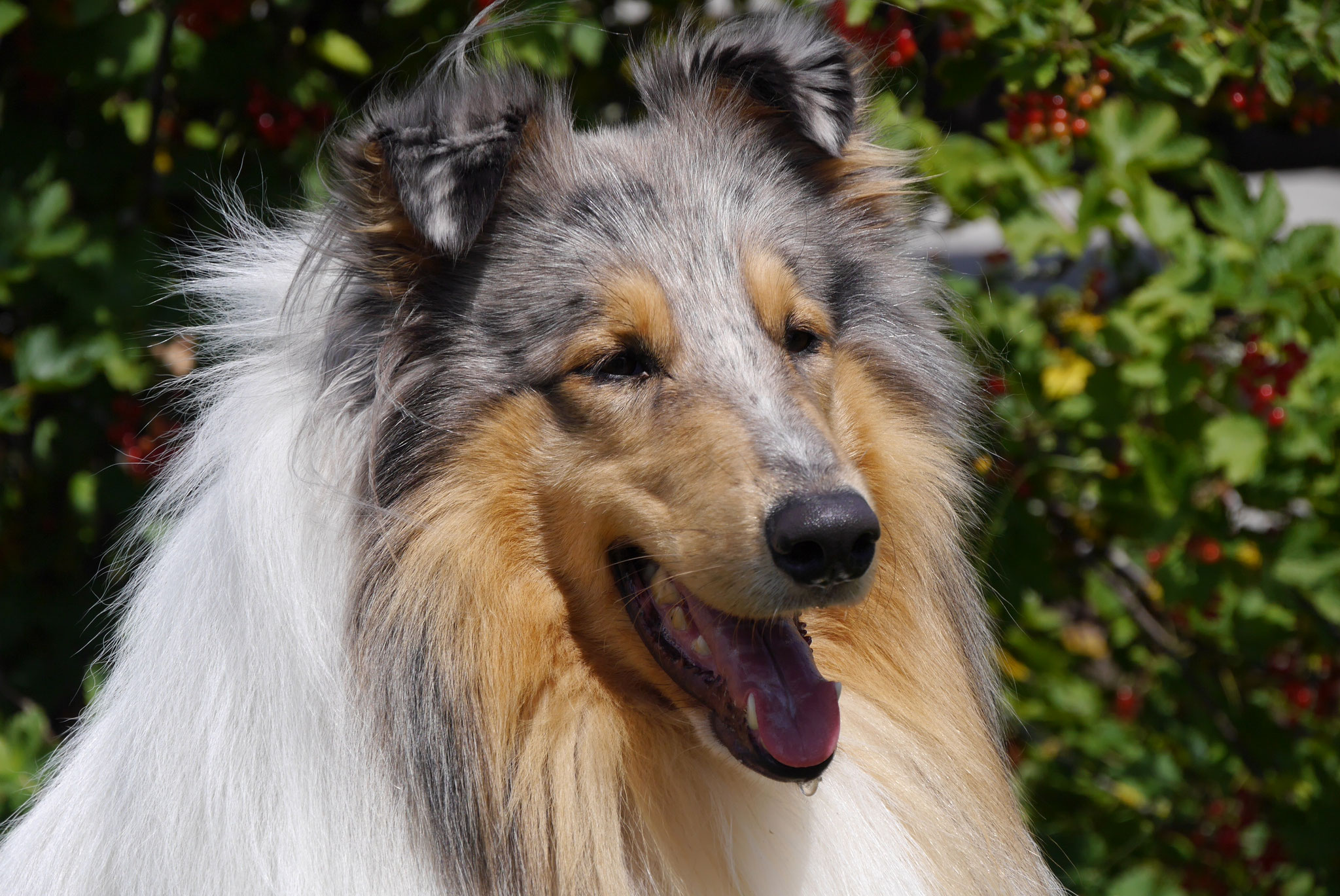 Antonio mit 2,5 Jahren