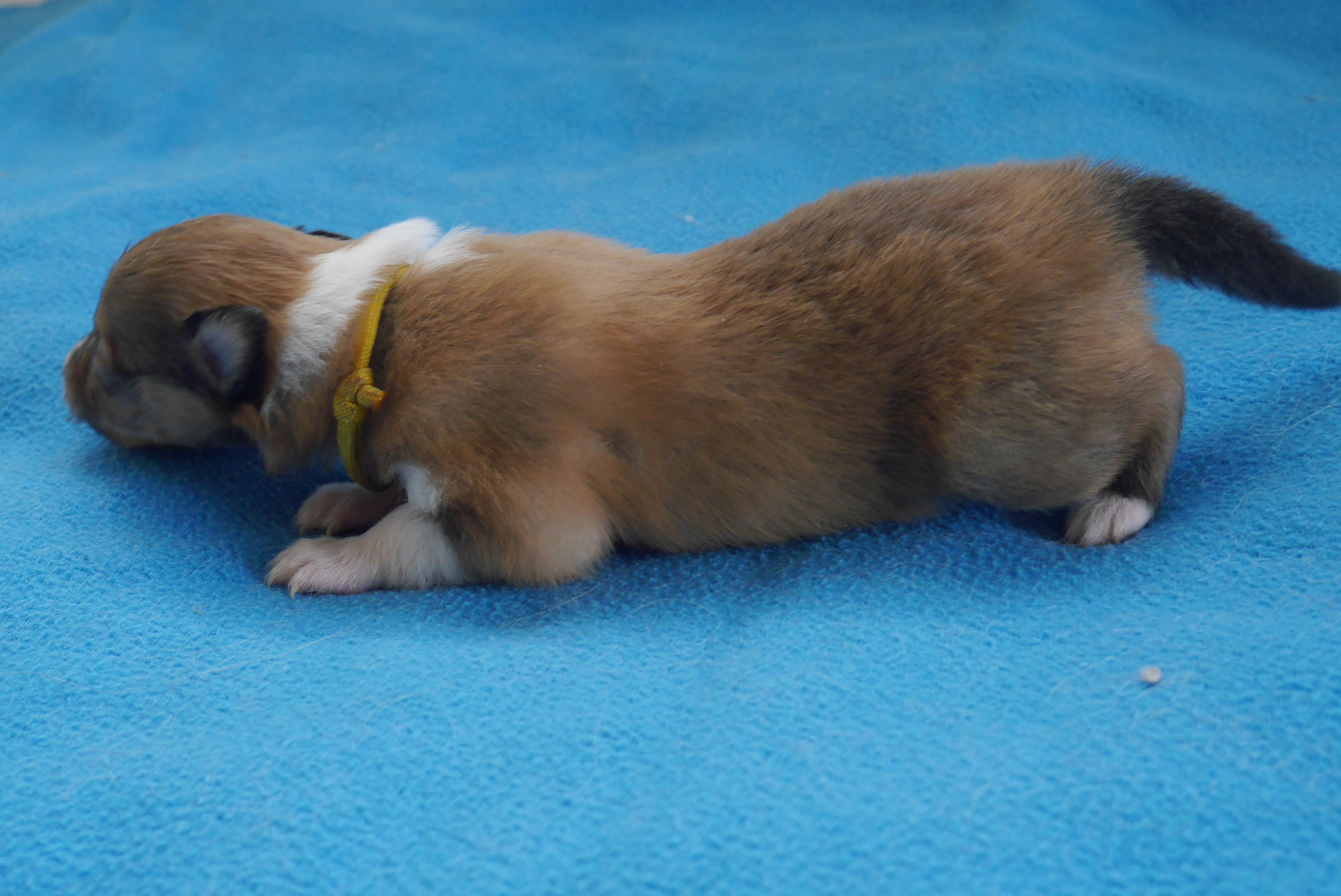 Infinity mit 2 Wochen