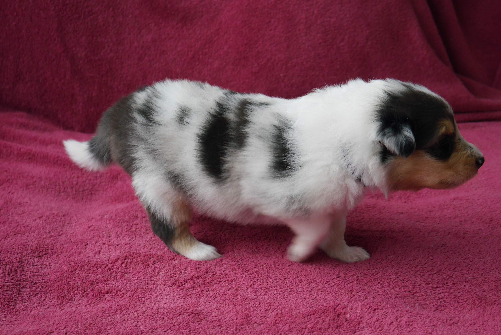 Hanna mit 3 Wochen 