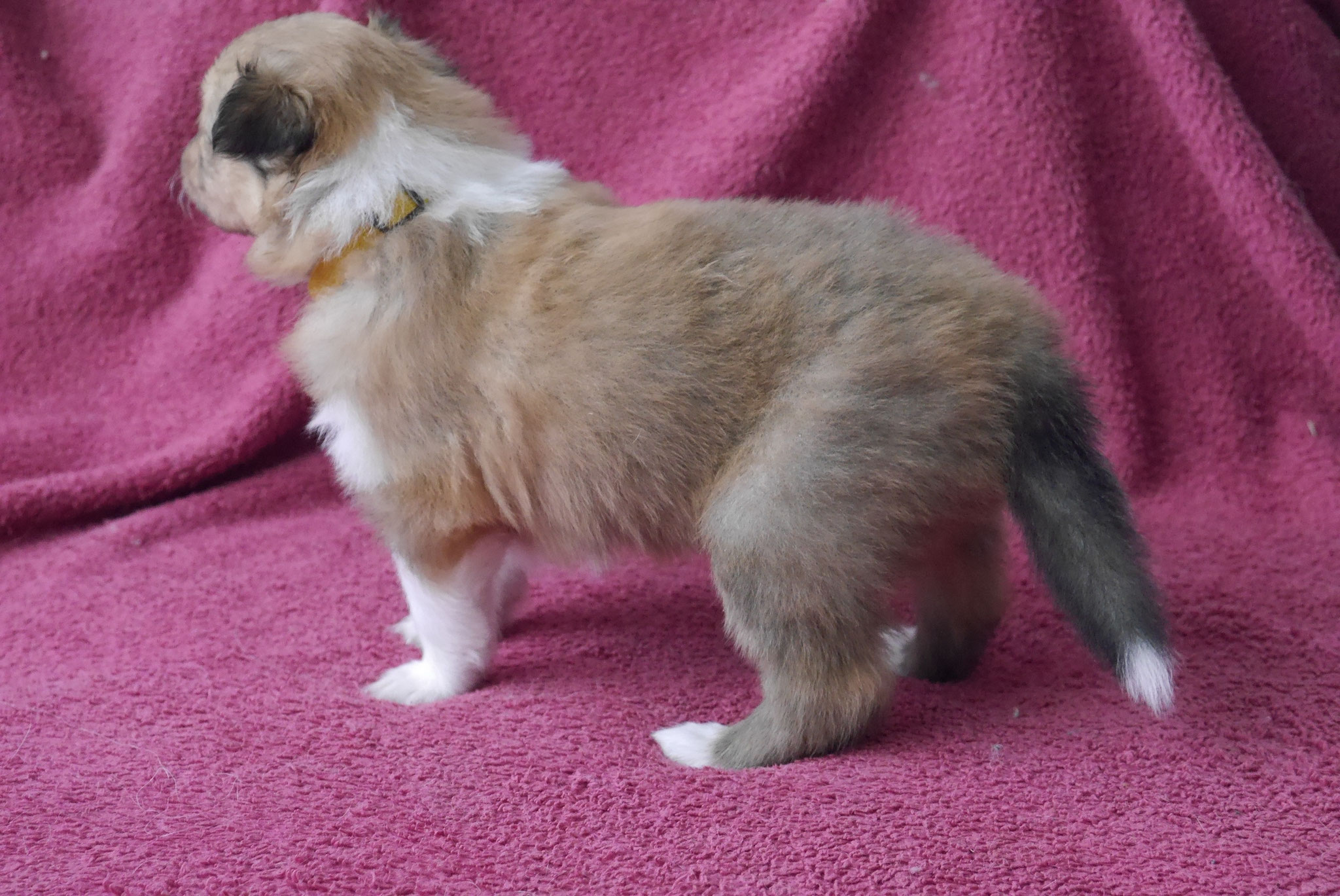 Infinity mit 4 Wochen